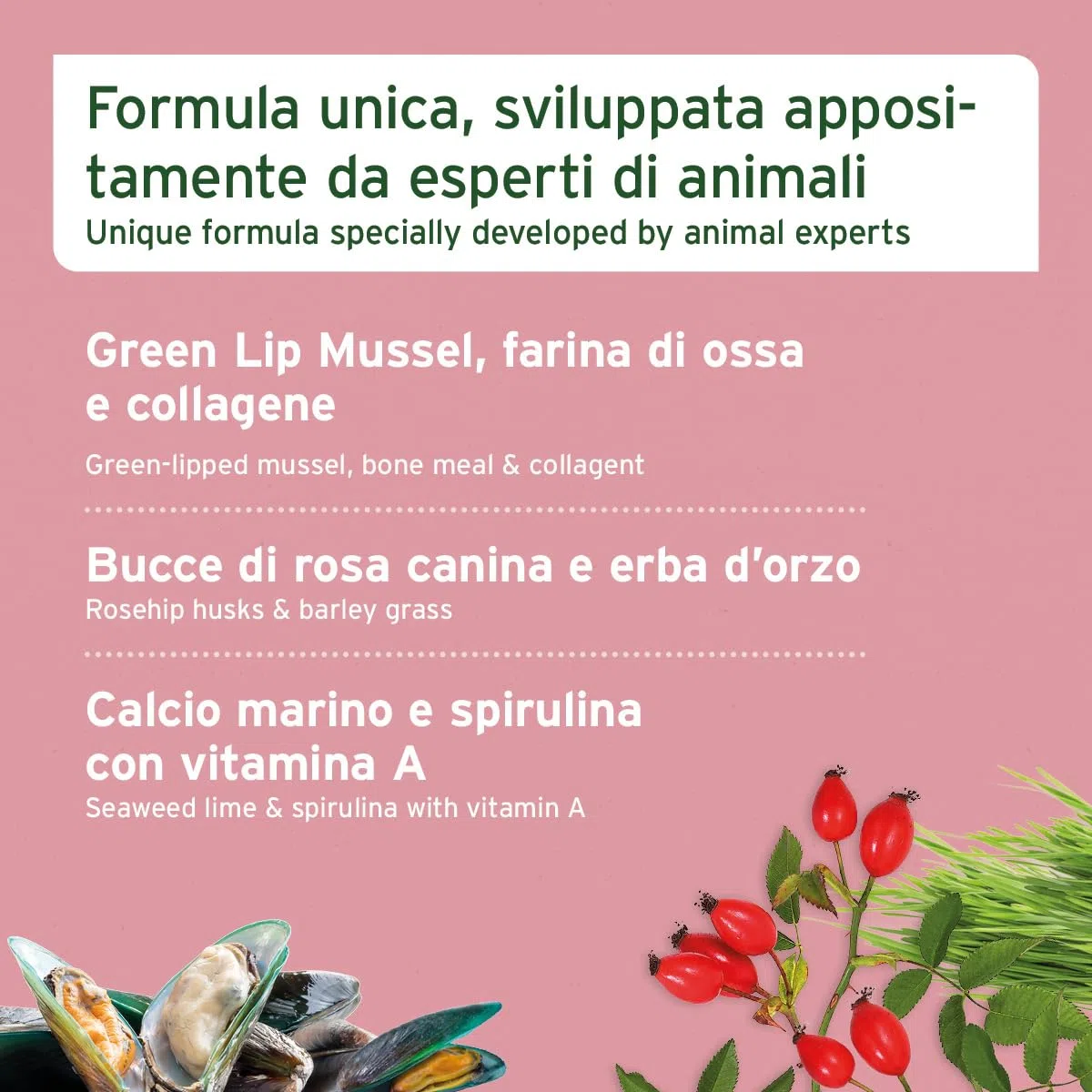 AniForte Junior Active per Cuccioli e Giovani Cani 250g - per Ossa, tendini, legamenti, Sviluppo dei Denti di Cuccioli e Giovani Cani. Integratore per Cuccioli con Calcio, vitamine e minerali