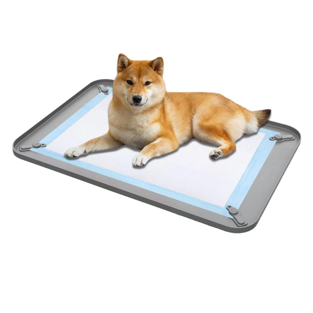 Porta Tappetini Igienici per Cani - Silicone Antiversamento Antiscivolo A Prova Di Perdite,Vassoio per Cani Toilette per Animali Domestici | Per Dormitorio Appartamento Camera Soggiorno Pavimento Cope