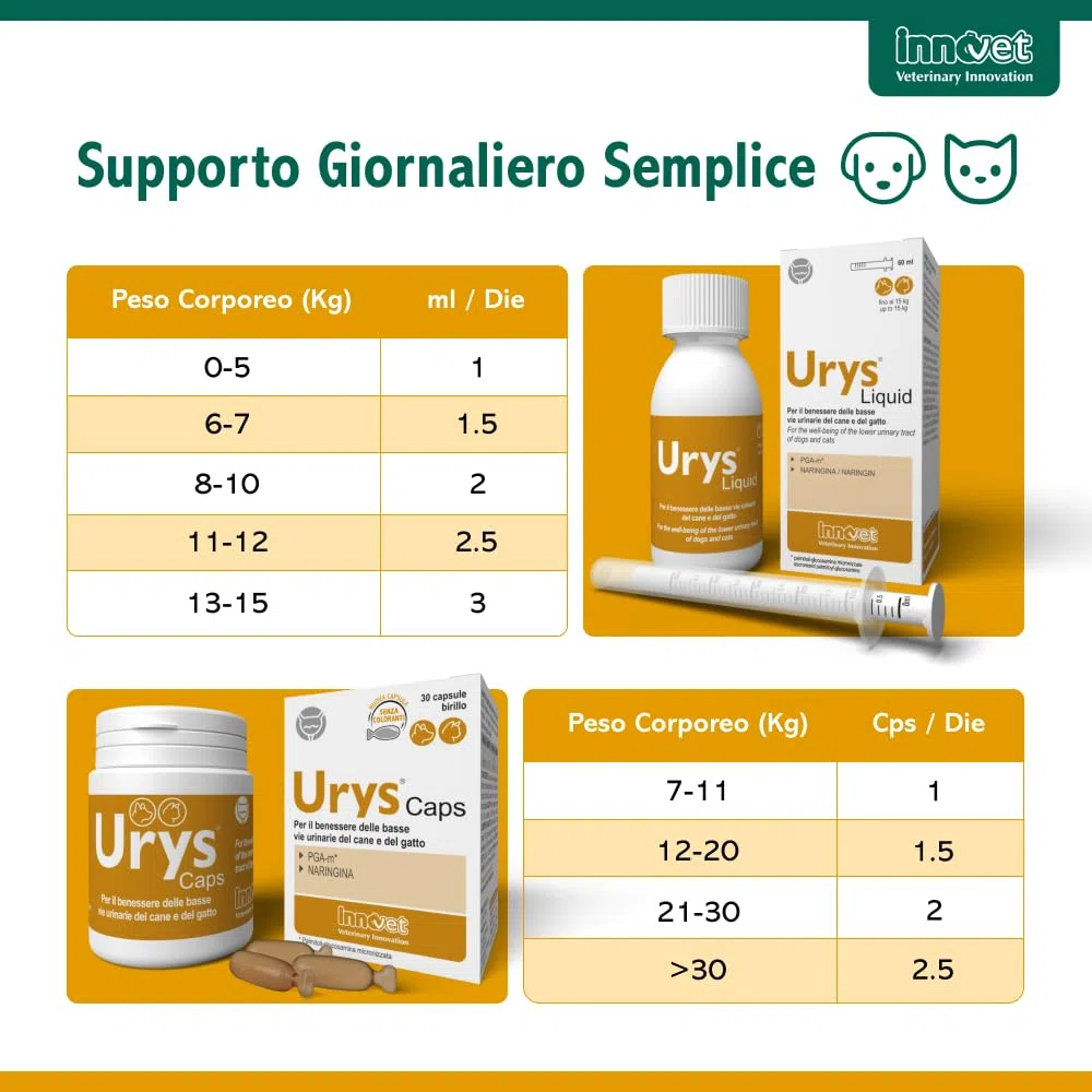 Innovet Urys Liquid 60 ml Per il benessere delle basse vie urinarie del cane e del gatto, con palmitoil-glucosamina micronizzata (PGA-m)