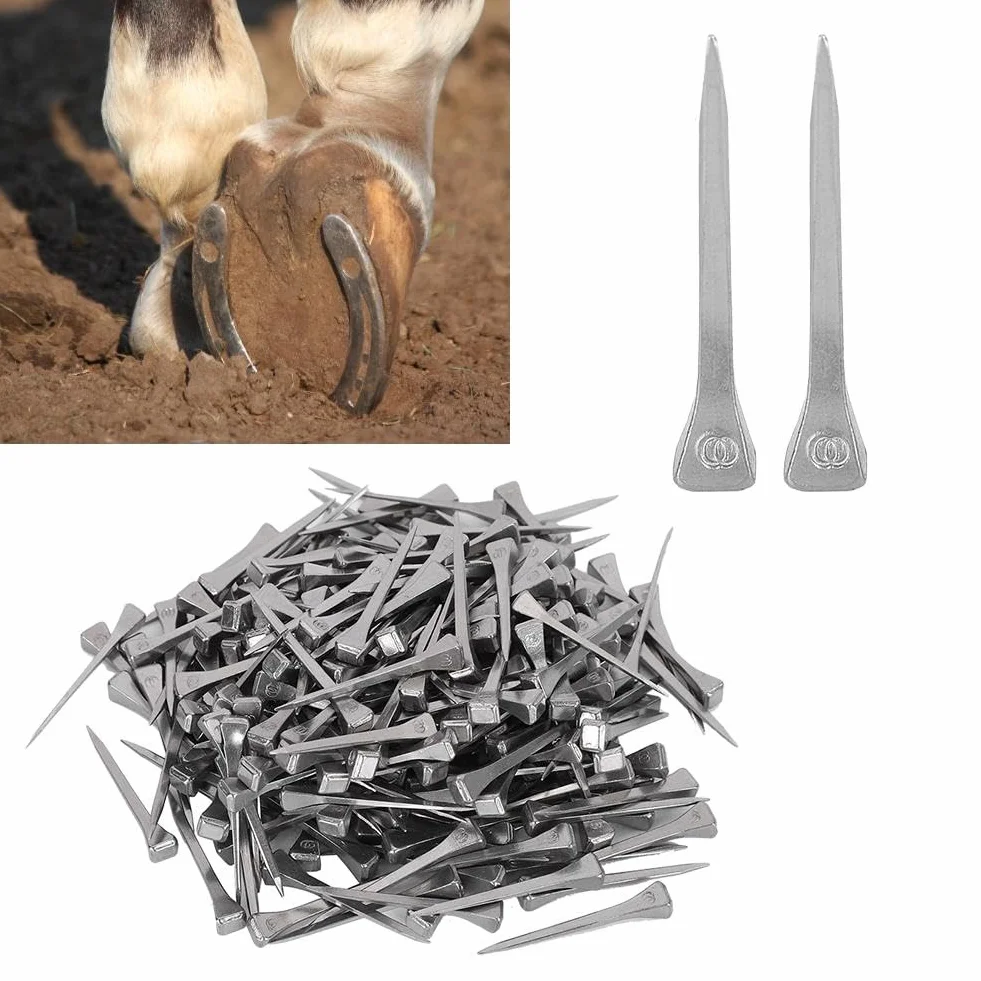 Nikou Chiodi a ferro di cavallo - 250Pcs Acciaio E4 Chiodo a ferro di cavallo stabile Accessori per attrezzi da cavallo 4.8CM Facile da usare