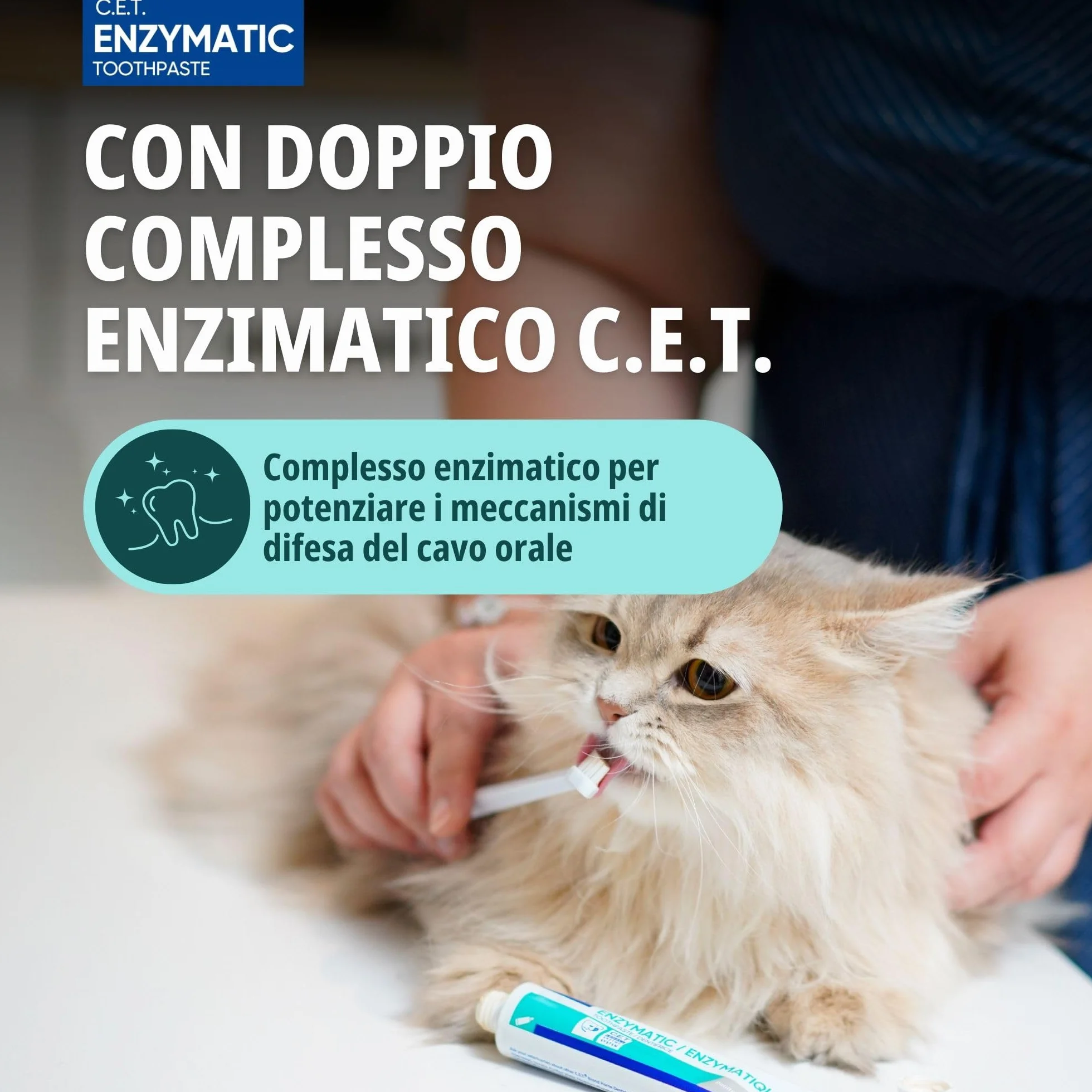 Virbac C.E.T. Dentifricio enzimatico per animali | Confezione Doppia | 2 x 70 g | Dentifricio aromatizzato al pollame per cani e gatti | Da utilizzare con uno spazzolino adatto agli animali