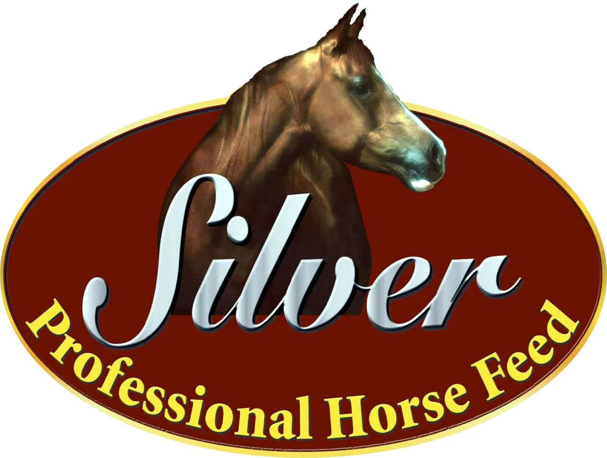 Fieno in wafer per cavalli | Foraggio per Cavallo | Ricchi di fibra | Pasto completo - sacco da 18 kg