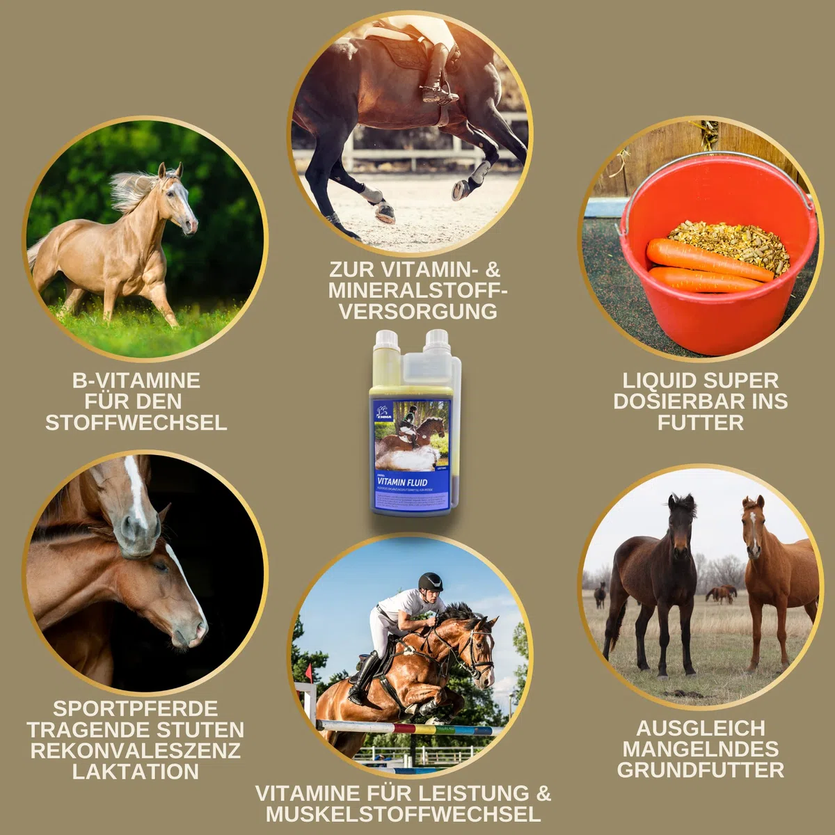 Vitamine per cavalli I mangime minerale per cavalli liquido I vitamine del gruppo B I vitamina E cavallo I complesso vitaminico b I vitamina b12 selenio zinco cavallo I vitamina b1 b6 immunitario 1L