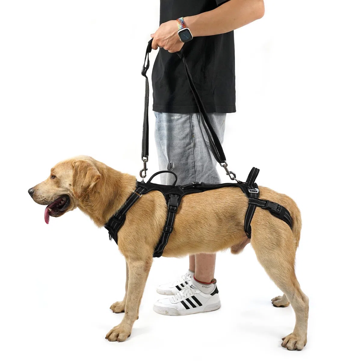 COODEO Imbracatura per Cani, Supporto e Fodera per Passeggio, Gilet di Riabilitazione per Zampe Posteriori, Trasportino per Cani Anziani con Infortuni e Artrite, Aiuto per Salire le Scale. (Nero, XL)