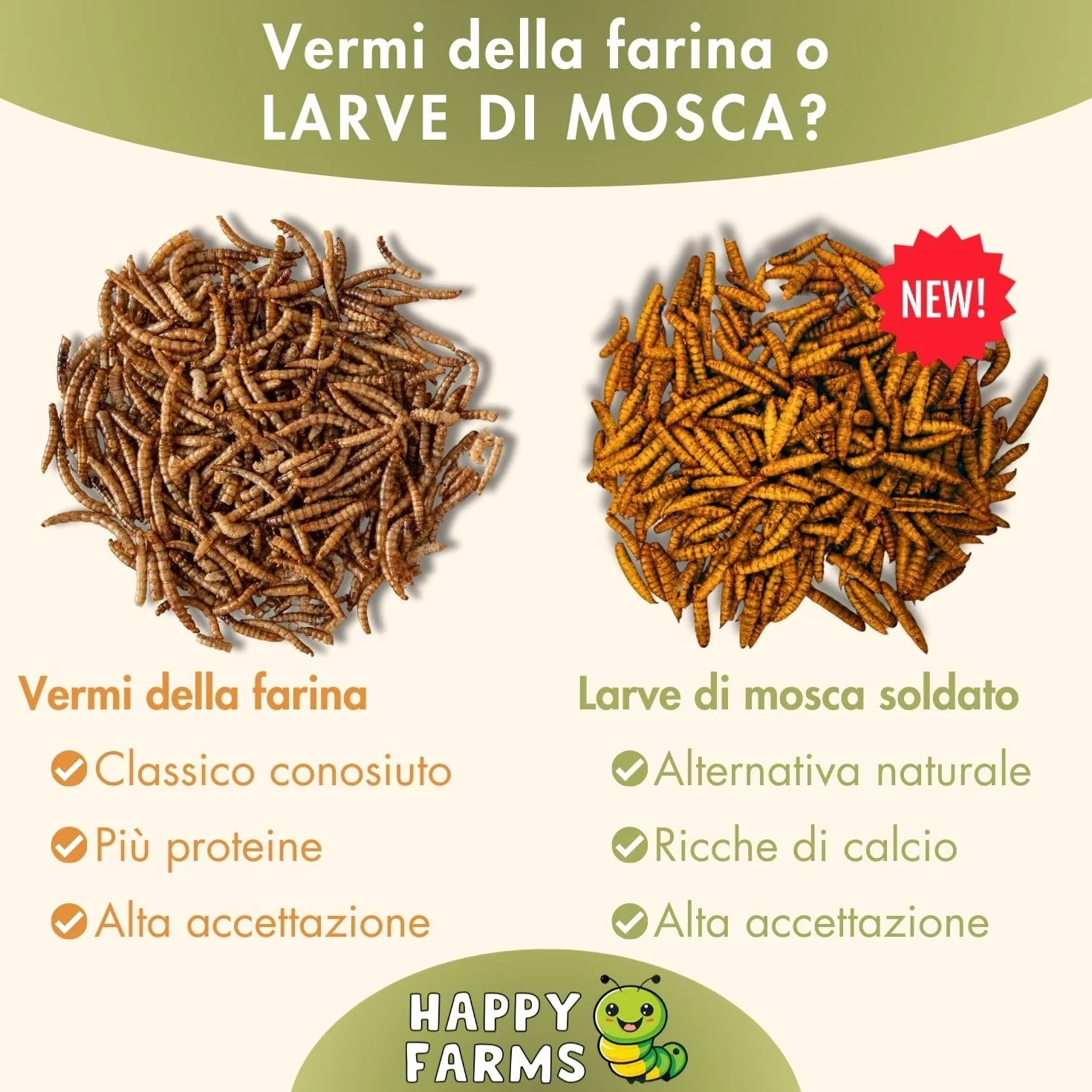 Larve di mosca soldato essiccate – Più calcio rispetto ai vermi della farina! 5 kg di cibo per insetti per uccelli selvatici, pesci e ricci