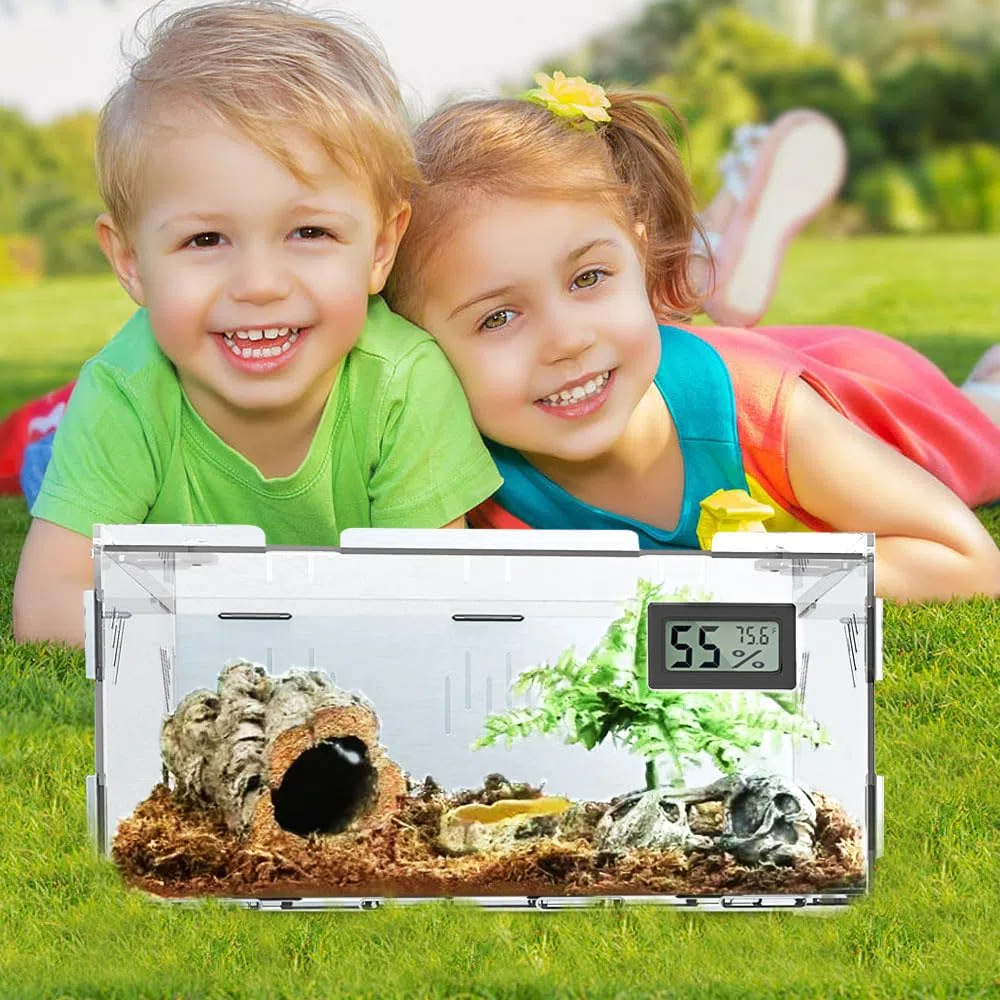 Oiakz Terrario per Rettili con Igrometro di Temperatura, in Acrilico per Piccoli Insetti, Casa, Ufficio, 40 x 24 x 18 cm (DE-Z002)