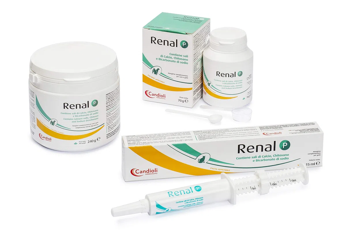 Candioli Farmaceutici - Renal P, Integratore per Cani e Gatti, Barattolo da 240 g
