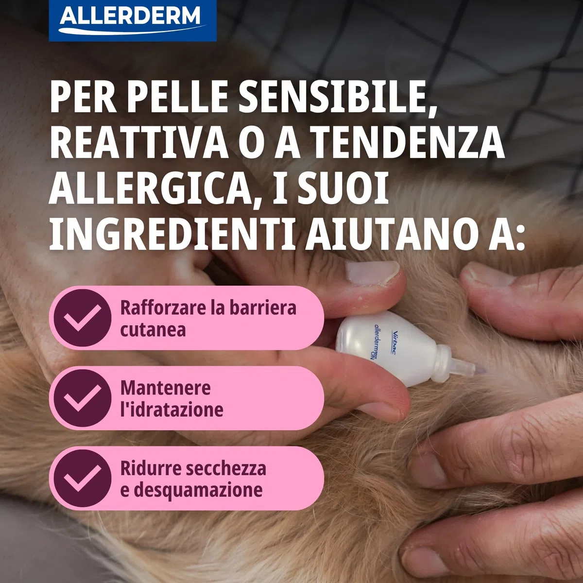 ALLERDERM SPOT-ON 2 ml 6 pip < 10 Kg