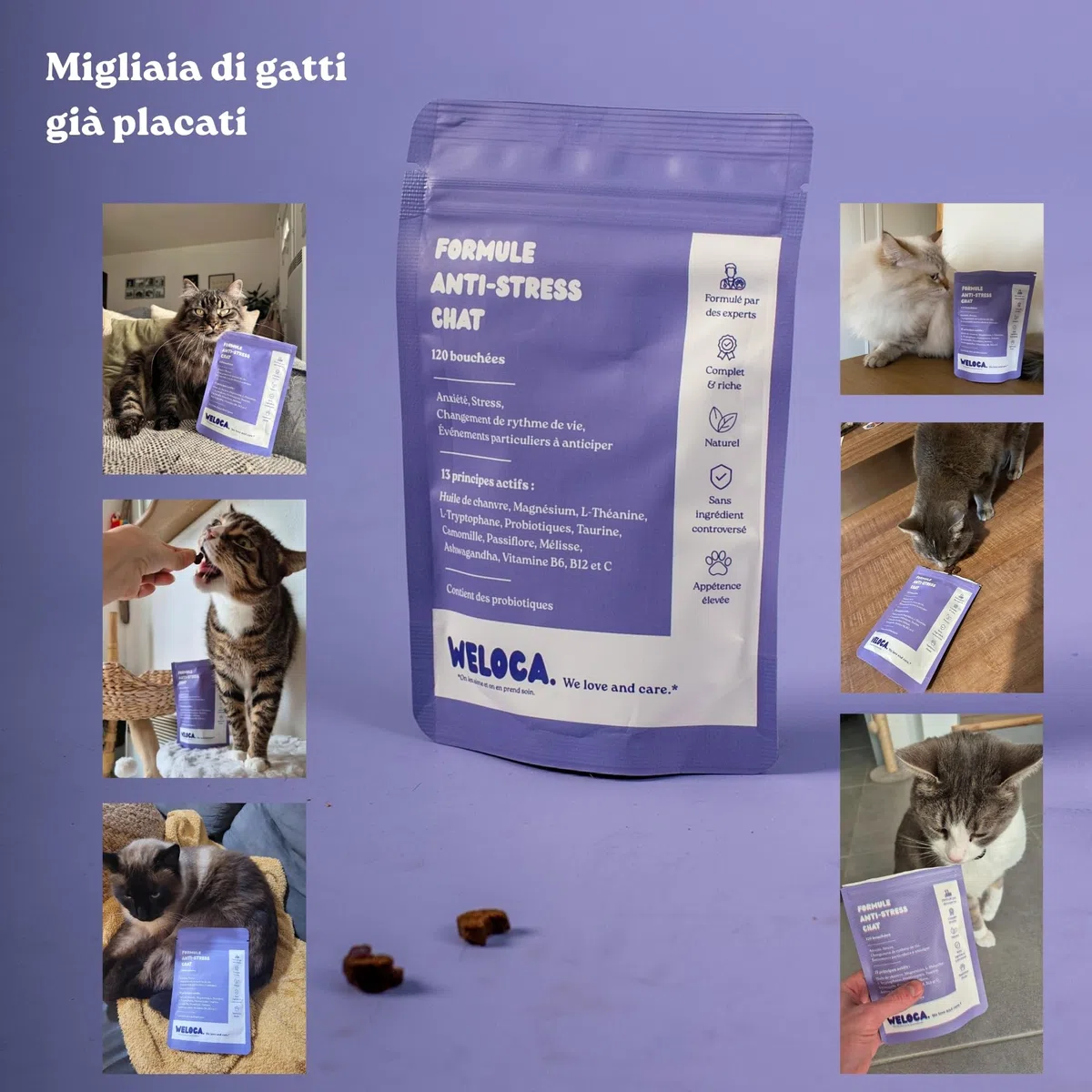 Weloca Anti-Stress Gatto - Anti marcatura urinaria, Anti graffio, lenitivo Contro i Problemi comportamentali del Gatto - 13 principi Attivi Naturali - Calmante Gatto - Imballaggio Francese