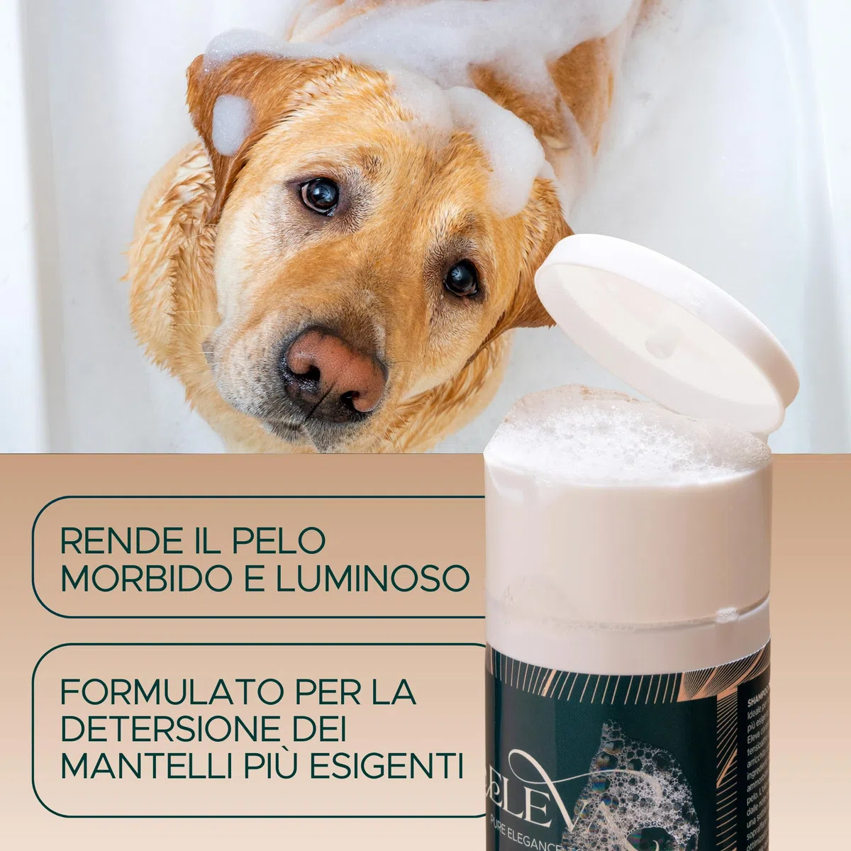 ELEVA PET - Kit Conosciamoci - Shampoo Delicato, Maschera Nutriente e Scioglinodi per Cani - Beauty Routine Completa - Ingredienti Vegetali - PH Ottimizzato - con Olio di Lavanda - Made in Italy