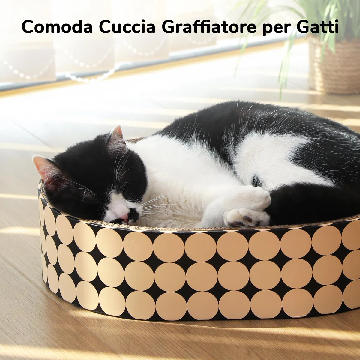 FUKUMARU Tiragraffi per Gatti in Cartone, Letto Graffiatoio Ovale per Gatti da Interno, Tiragraffi Moderno e Resistente a Forma di Cuccia, Protettore per Mobili da Graffiare, Stampa a Pois