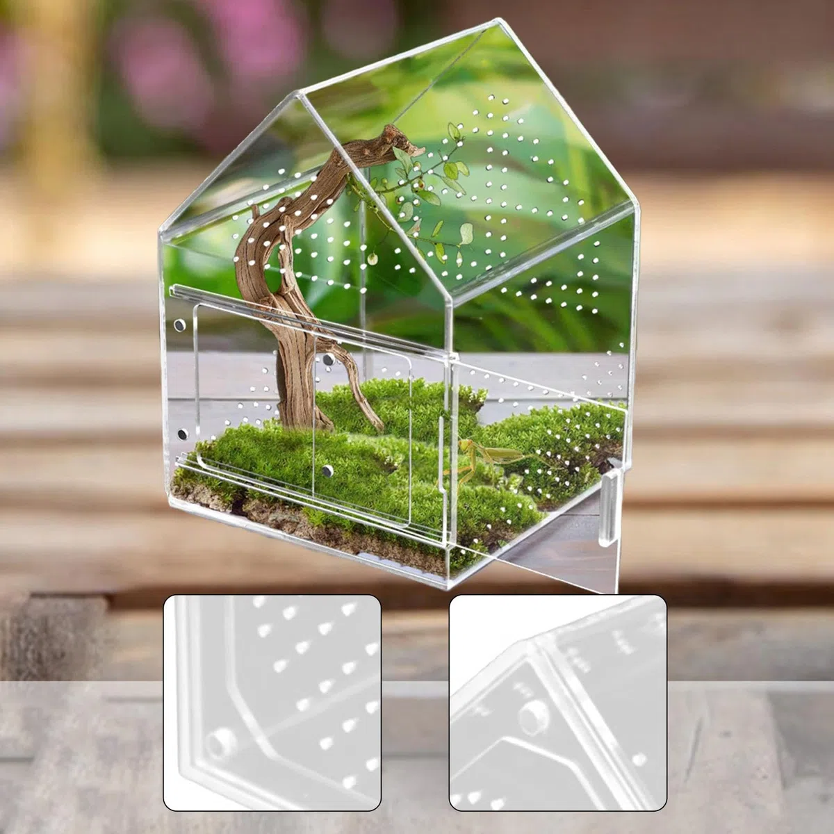 Terrario per Ragni Saltatori Scatola di Alimentazione Habitat in Miniatura Casetta per Scorpioni Custodia per Mantidi Leggero E Resistente Agli Urti, 17 Cm X 17 Cm X 22