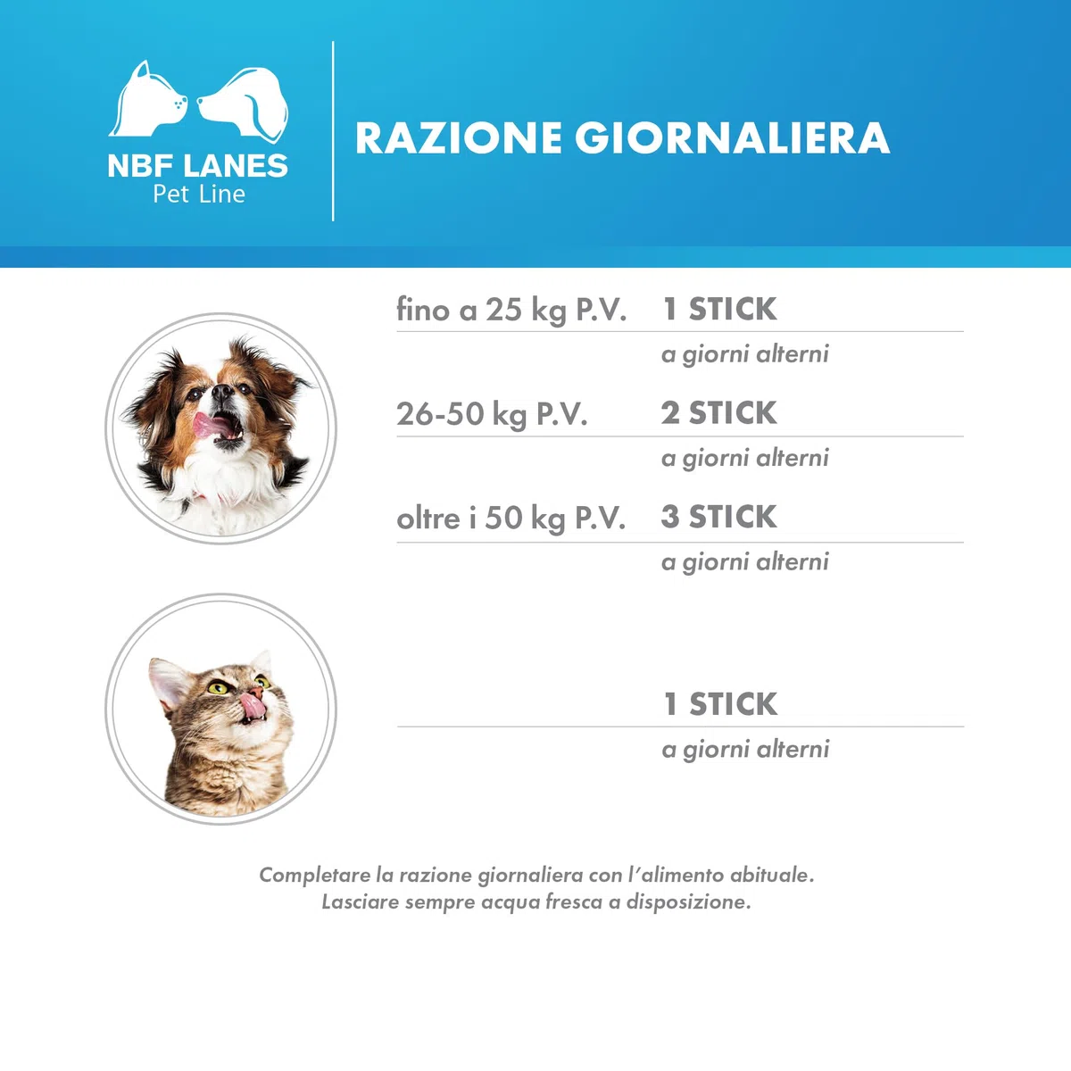 NBF LANES | Reupair Cane e Gatto, Viscogel 30 Stick da 2g (60 g), Per la Normale Funzionalità Barriera Intestinale