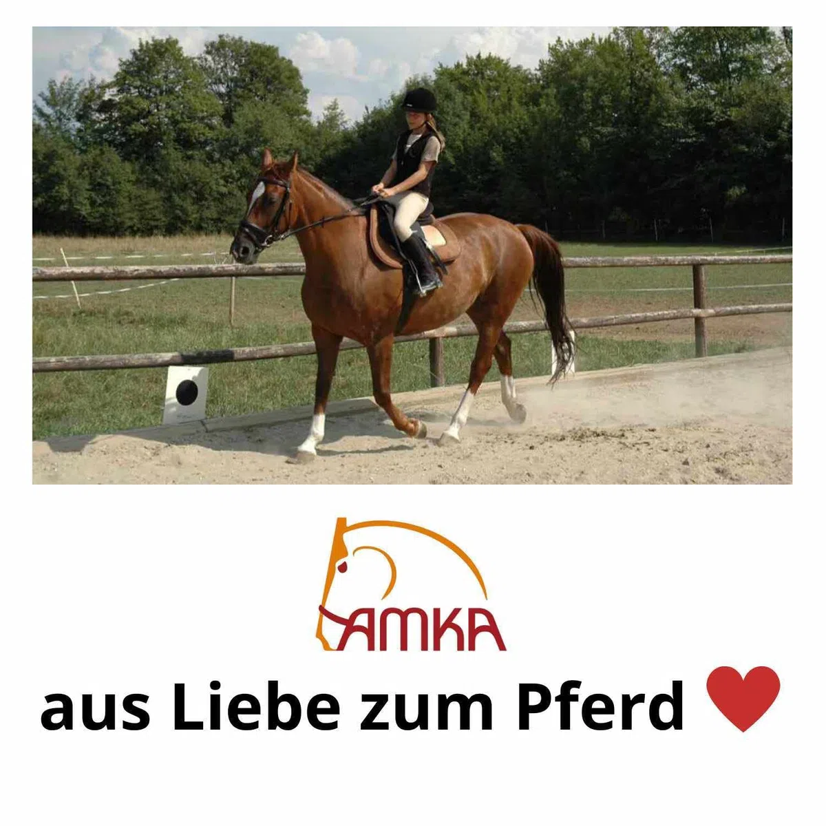 Amesbichler AMKA - Tracolla per sella in neoprene, per equitazione, colore: nero