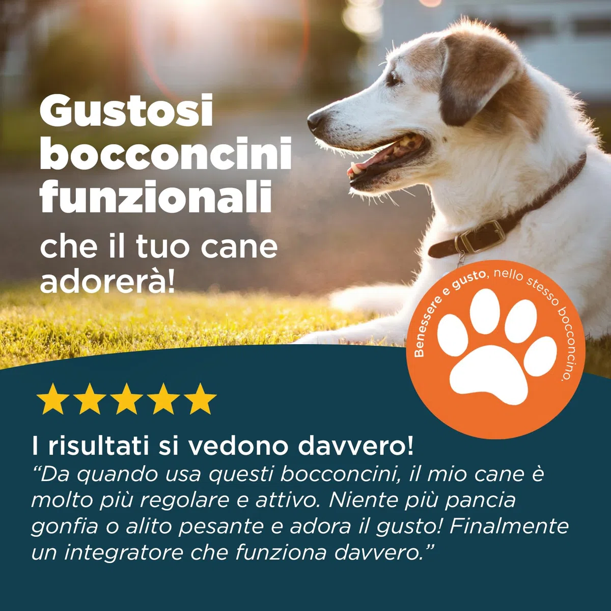 Probiotici Digestivi per Cani | Integratore con Pre, Pro & Post Biotici | Supporto Digestione, Flora Intestinale e Difese Naturali | 60 Bocconcini Gusto Manzo