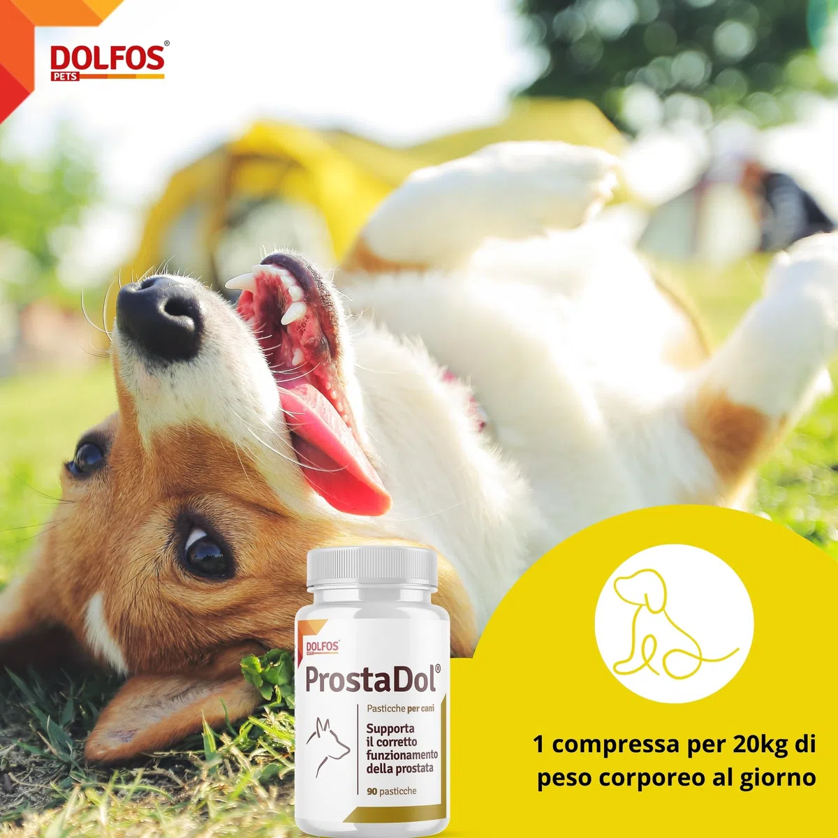 Dolfos Pets Dolvit ProstaDol Integratori per Cane, 90 Compresse, Prostata e Vie Urinarie, con Beta-Sitosteroli e Estratti Naturali, Integratore per Cani Anziani e Adulti