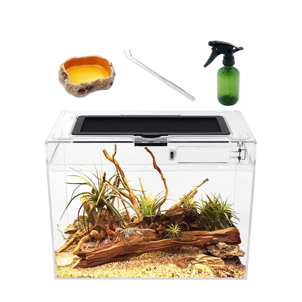Terrario Kit PC Reptile Growth 12" x 7" x 9", visivamente accattivante terrario rettili per Geco leopardino, Drago barbuto, Ragno, lumaca, insetto, tarantola, serpente