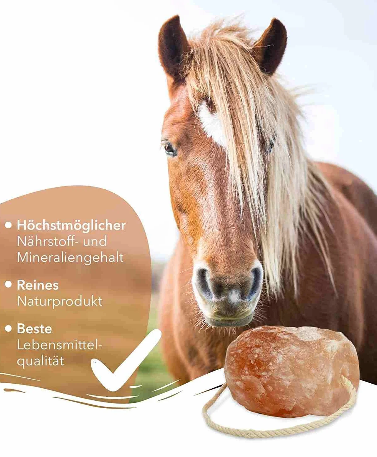 Pietre di sale di alta qualità "cristallo di rocca", 4 pietre con cordoncino, per un totale di circa 8 kg, per cavalli, pecore, bovini, selvaggina, sale di bestiame – pietra minerale – pietra preziosa