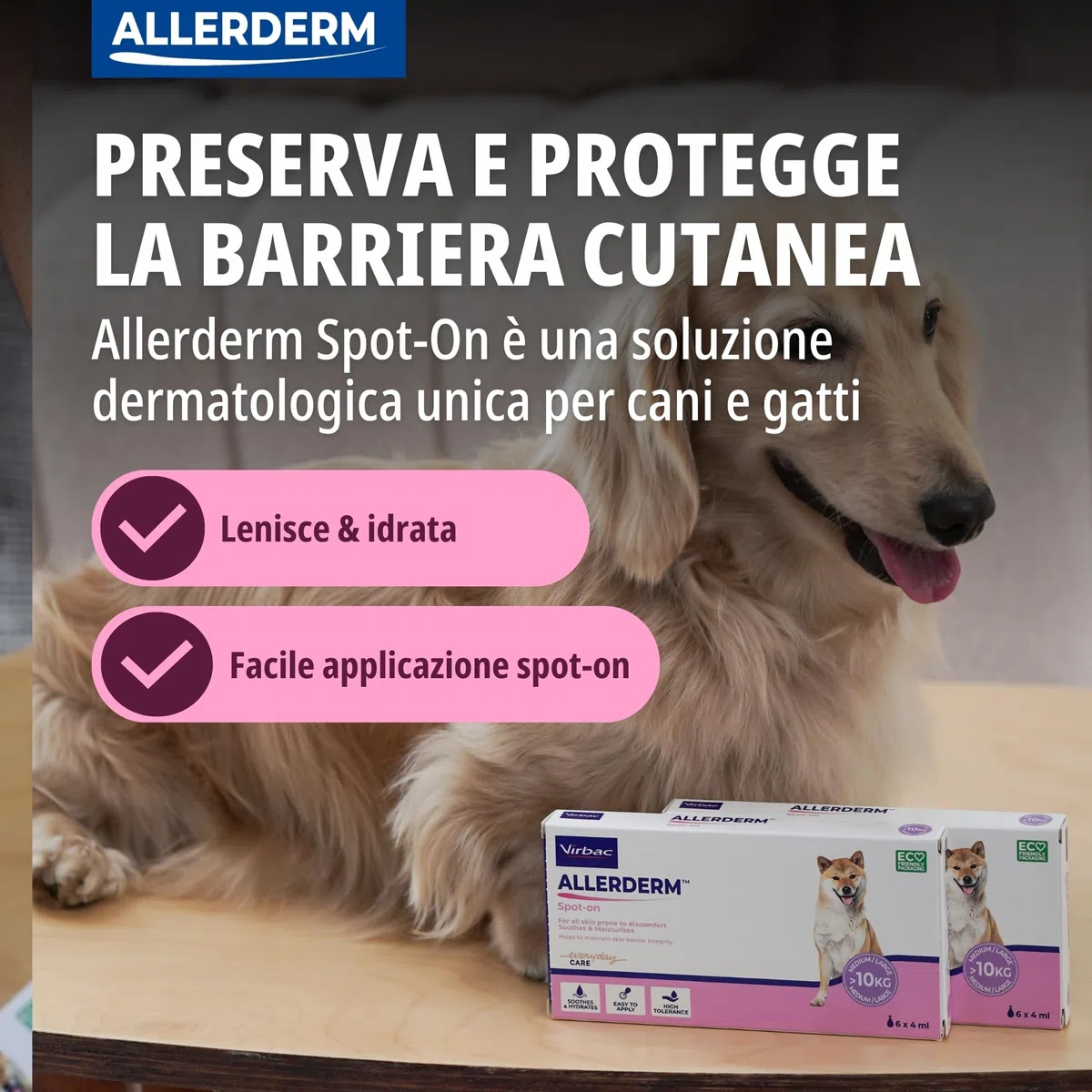 ALLERDERM SPOT-ON 2 ml 6 pip < 10 Kg
