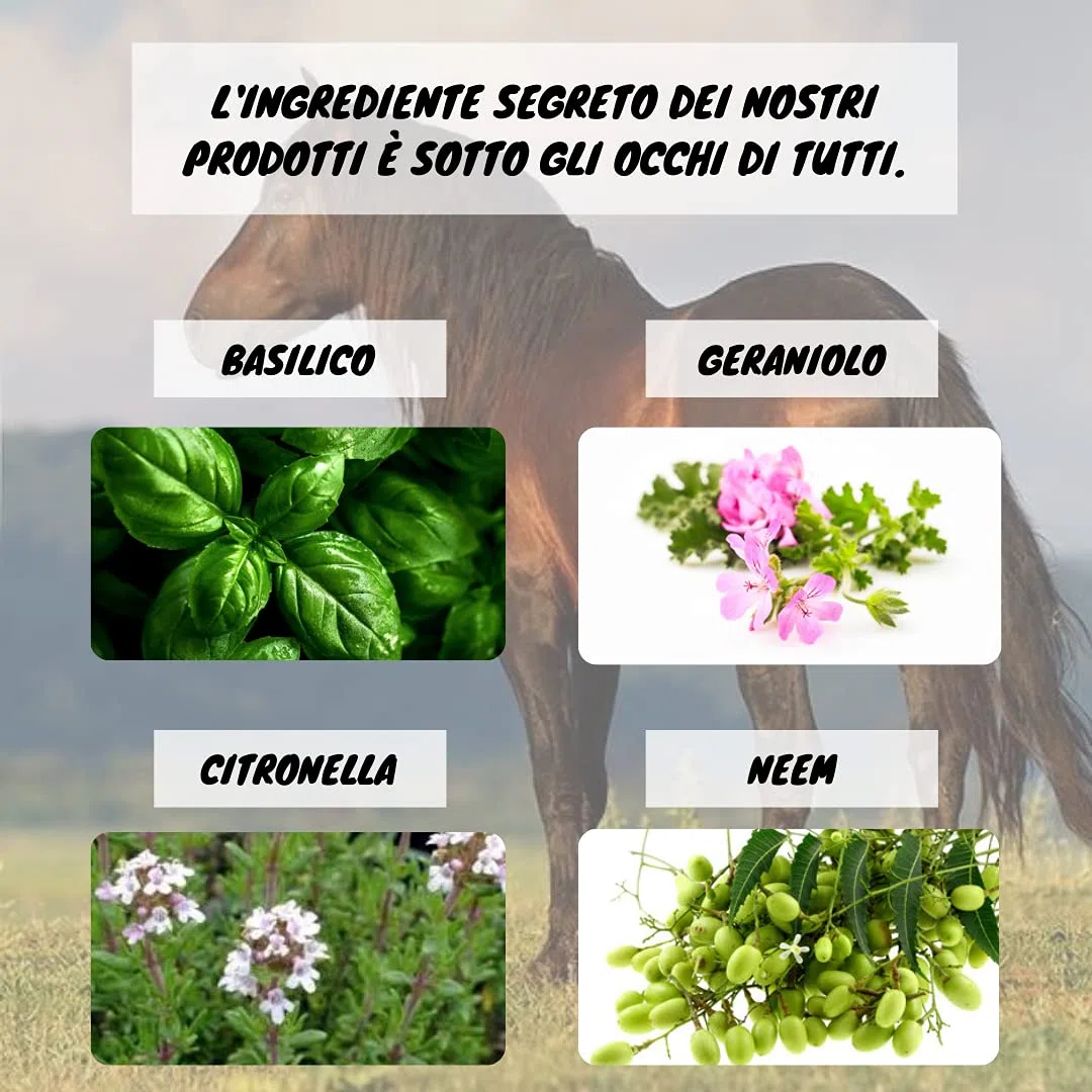 FLY AWAY Eurekavet Antiparassitario 100% Naturale per Cavalli con Olio di Neem - Efficacie Contro: Mosche, Tafani, Flebotomi, Zanzare, Pulci, Zecche, Acari - Formula Potenziata (Flacone da 1 litro)