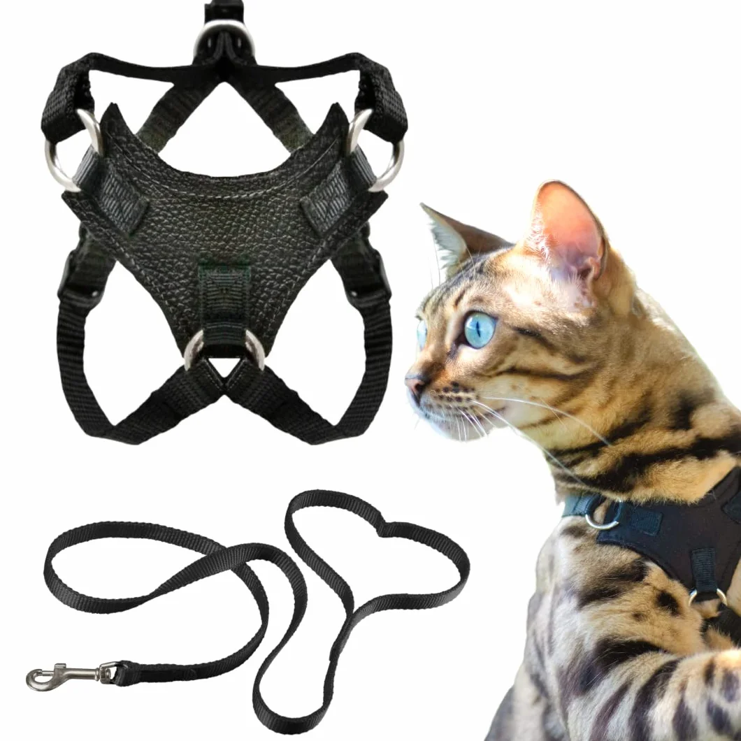 Houdini™ - Set di pettorina e guinzaglio per gattini in pelle vegana, a prova di fuga, di OutdoorBengal per gattini che camminano (S)