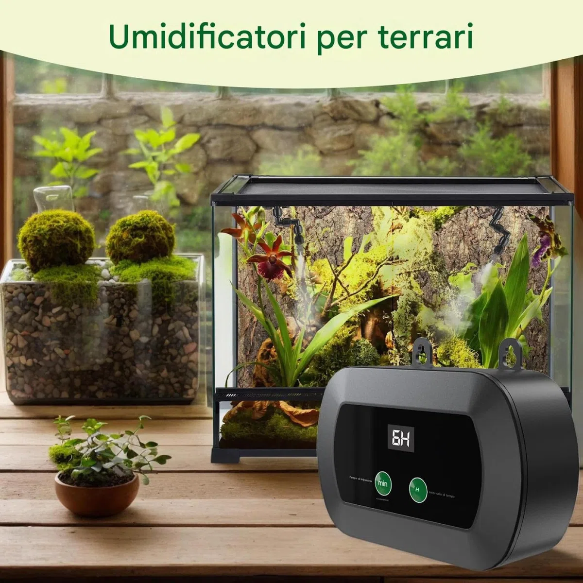 Umidificatore per rettili - Umidificatore automatico per terrario | Fogger portatile per rettili con ugello regolabile a 360 gradi, timer e funzione di spruzzo manuale per piante camaleonte serpente r