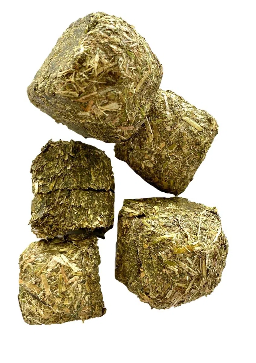 Fieno in wafer per cavalli | Foraggio per Cavallo | Ricchi di fibra | Pasto completo - sacco da 18 kg