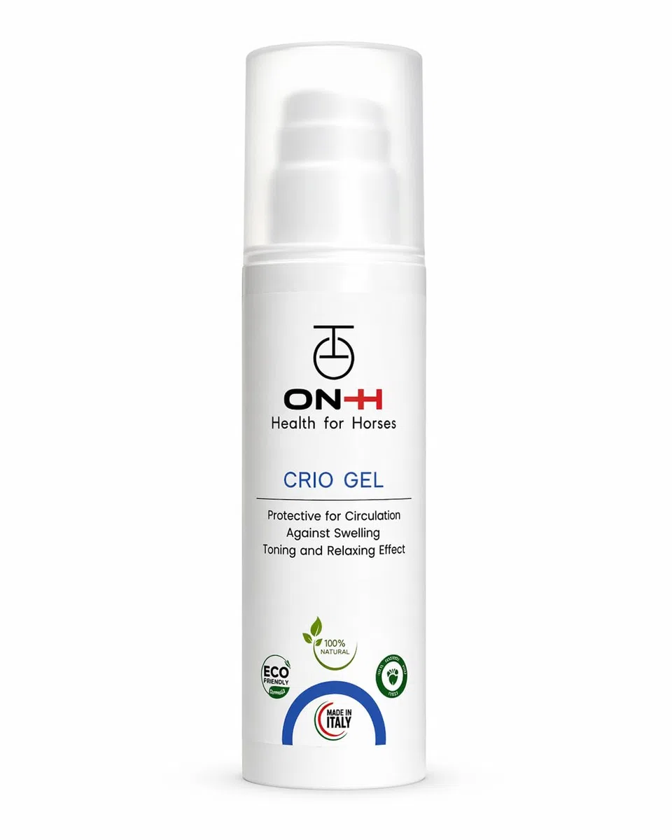 ON-H Crio Gel per Cavalli 200 ml | Gel Defaticante per Tendini e Legamenti | Effetto Rinfrescante dopo Allenamento e Gara | Supporto Recupero Muscolare Cavallo Sportivo | uso Quotidiano