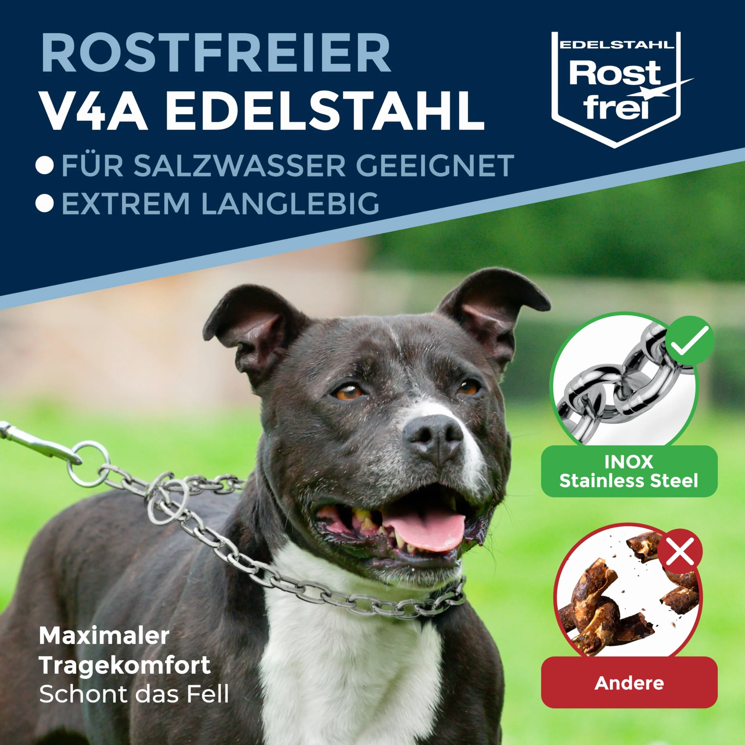 Collare addestramento cane acciaio inox V4A Ø4 mm – lunghezza 60 cm (lunghezza totale) – per circonferenza testa 46–51 cm – catena maglie corte con arresto di trazione