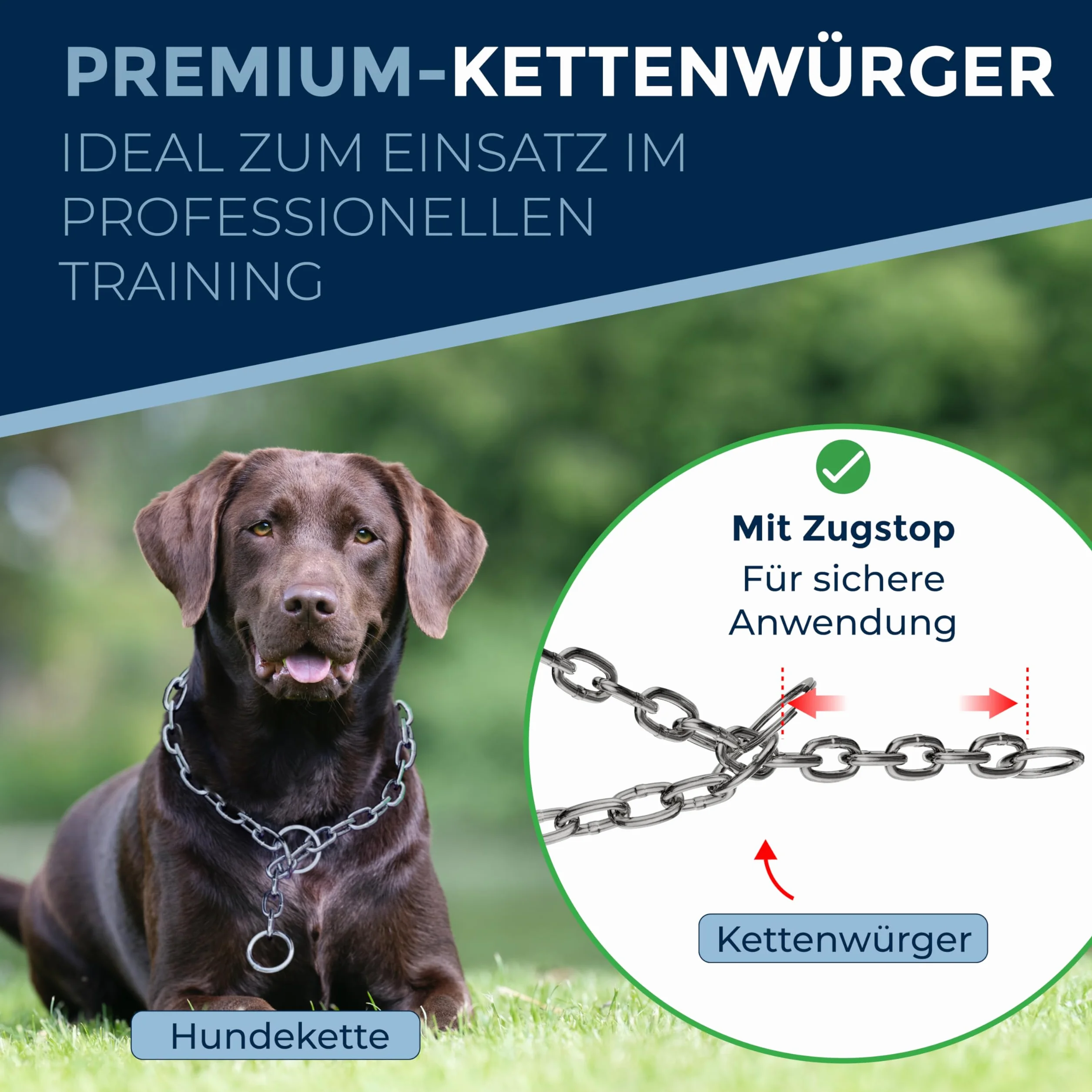 Collare addestramento cane acciaio inox V4A Ø4 mm – lunghezza 60 cm (lunghezza totale) – per circonferenza testa 46–51 cm – catena maglie corte con arresto di trazione