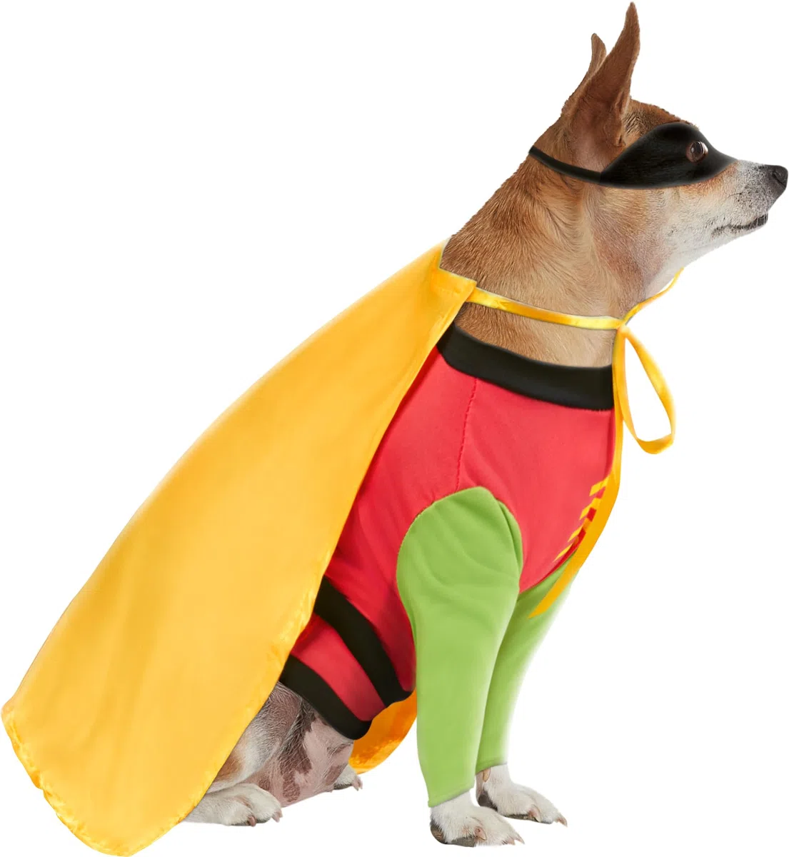 Rubie's Costume ufficiale da donna Rubie s DC Comic Robin Teen Titans Pet Dog Costume Super Hero Taglia L, come da mostrare, L UK