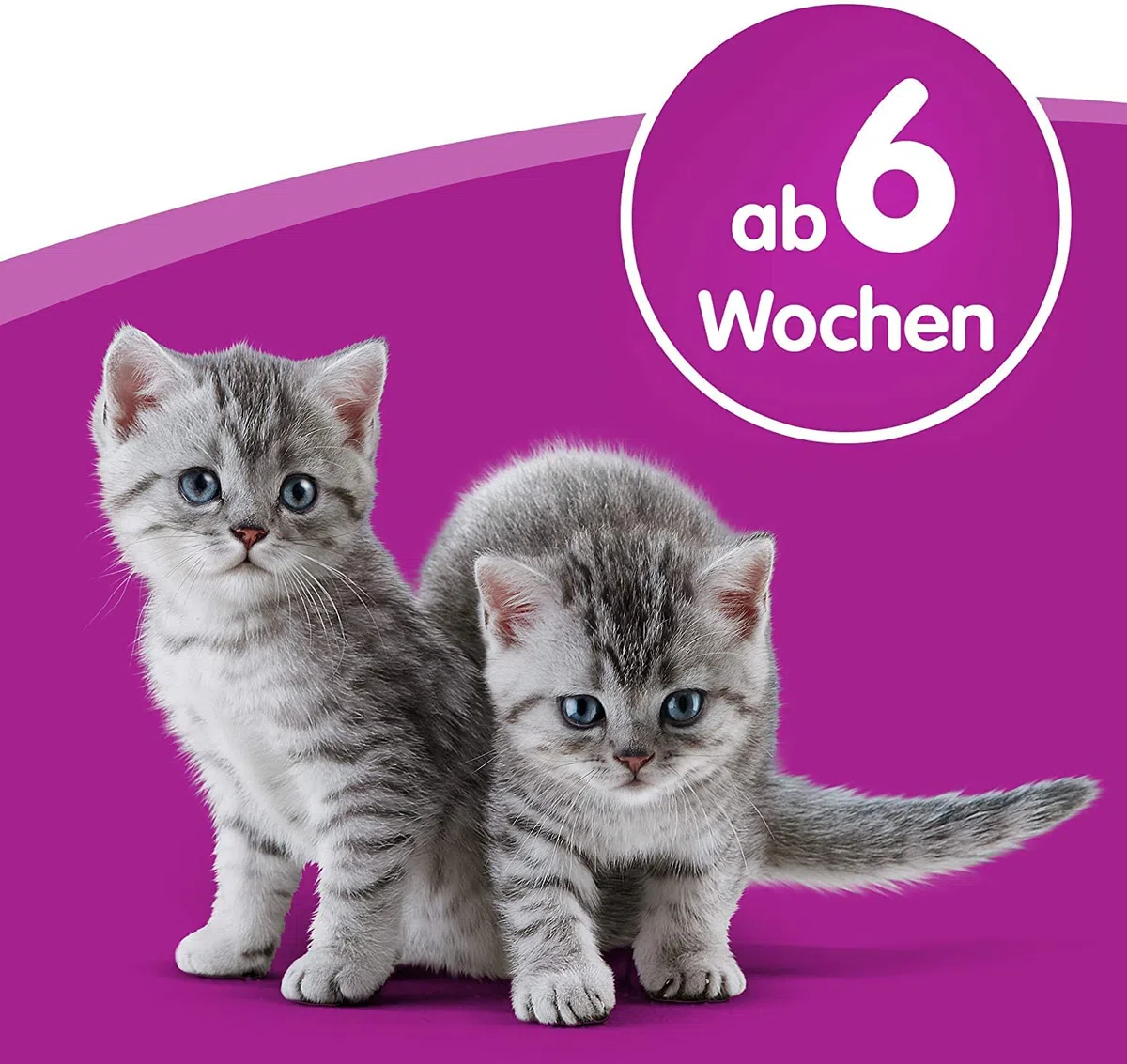Whiskas Latte per Gatti a Partire da 6 Settimane, 15 Bottiglie, 15 x 200 ml, Delizioso Snack per Un Gatto Felice, Prodotto da lattosio e Facilmente digeribile, 3 l (Confezione da 1)