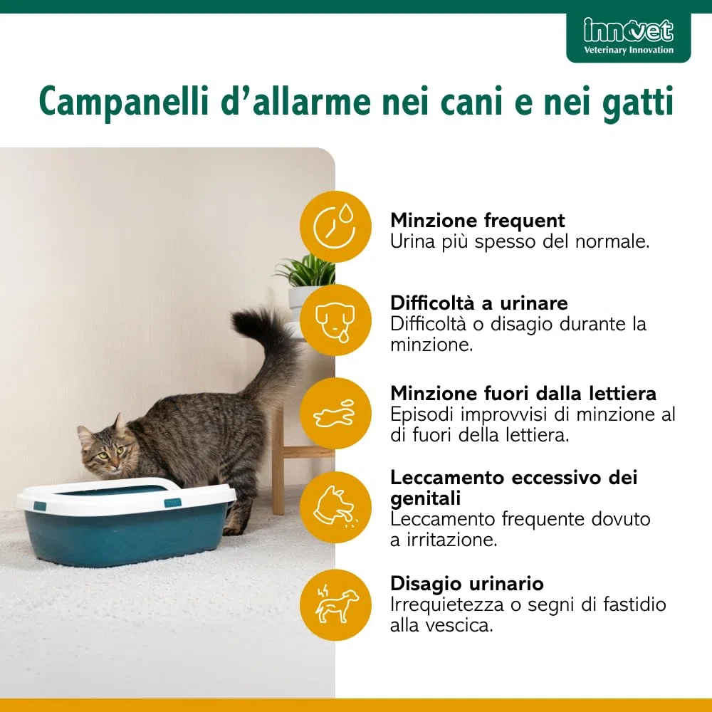 Innovet Urys Liquid 60 ml Per il benessere delle basse vie urinarie del cane e del gatto, con palmitoil-glucosamina micronizzata (PGA-m)