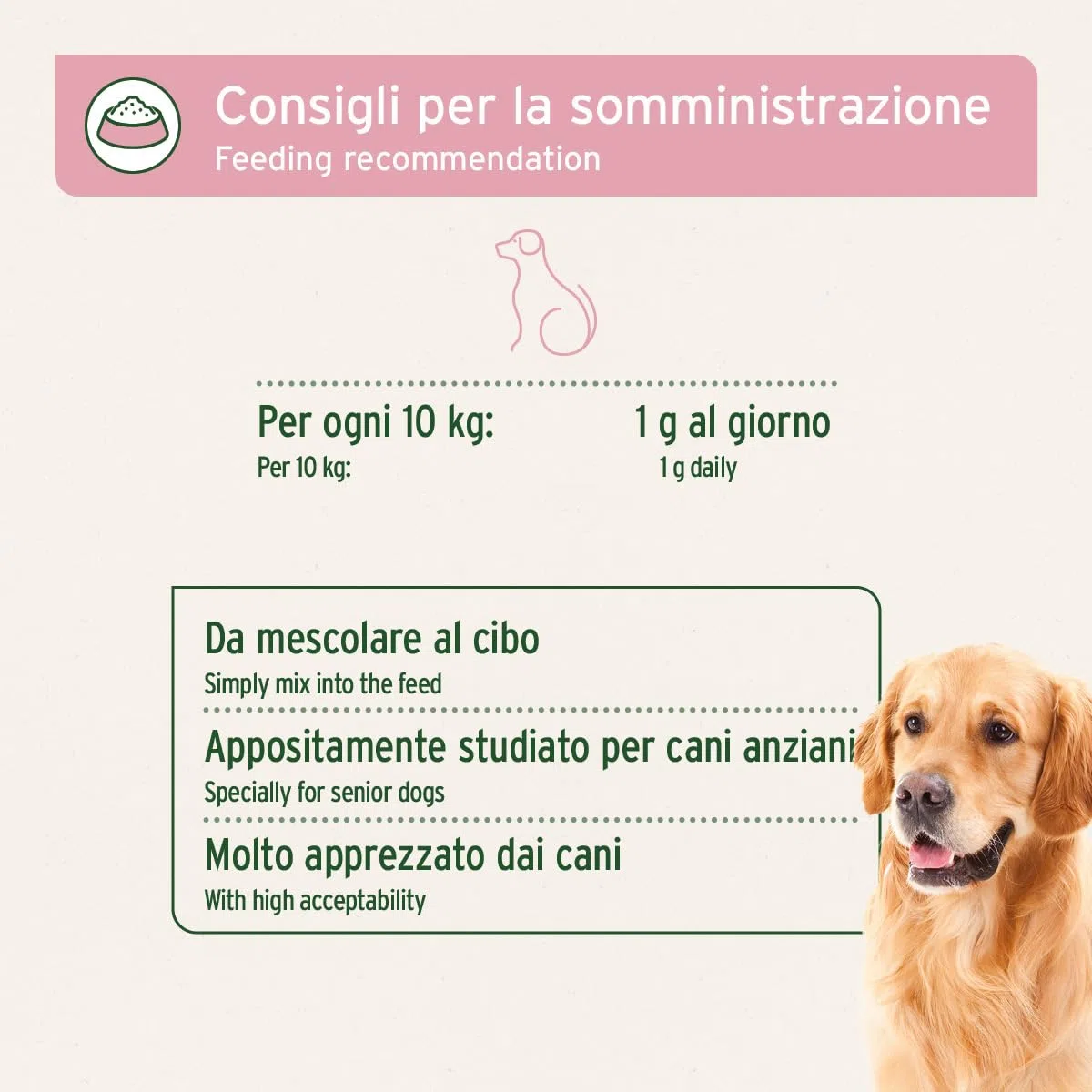 AniForte Senior Active Powder 250 g per Cani Anziani - minerali, aminoacidi e vitamine per Cani, Supporta la Memoria e la Funzione cardiaca, cozza dalle Labbra Verdi per la vitalità e l'agilità