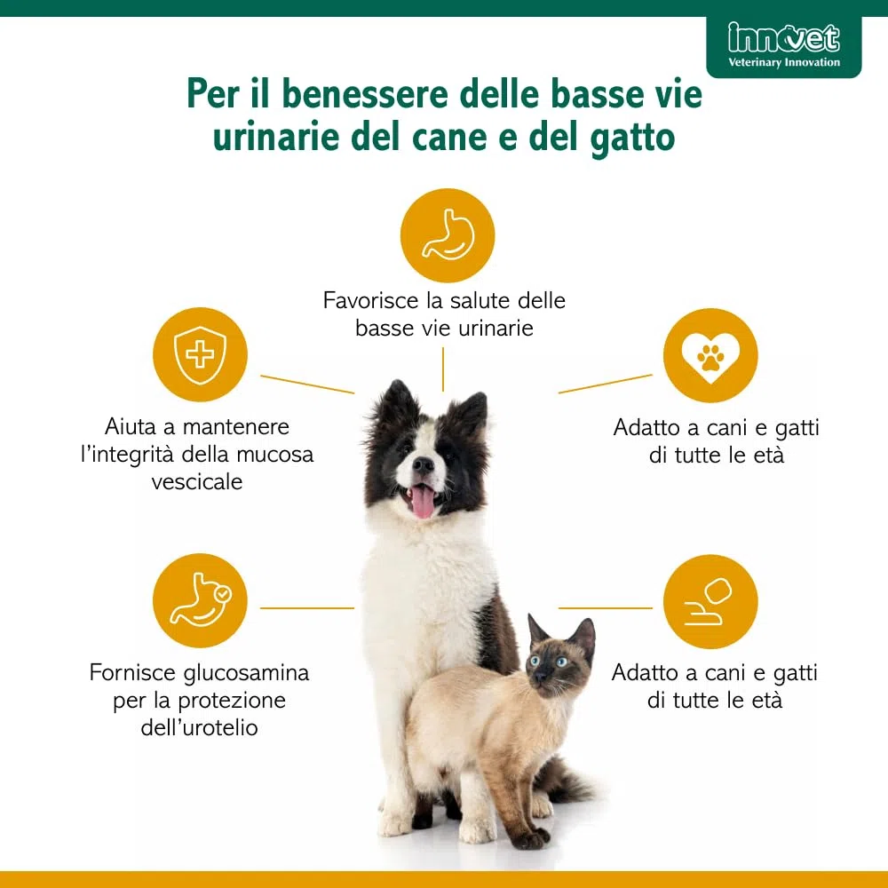 Innovet Urys Liquid 60 ml Per il benessere delle basse vie urinarie del cane e del gatto, con palmitoil-glucosamina micronizzata (PGA-m)
