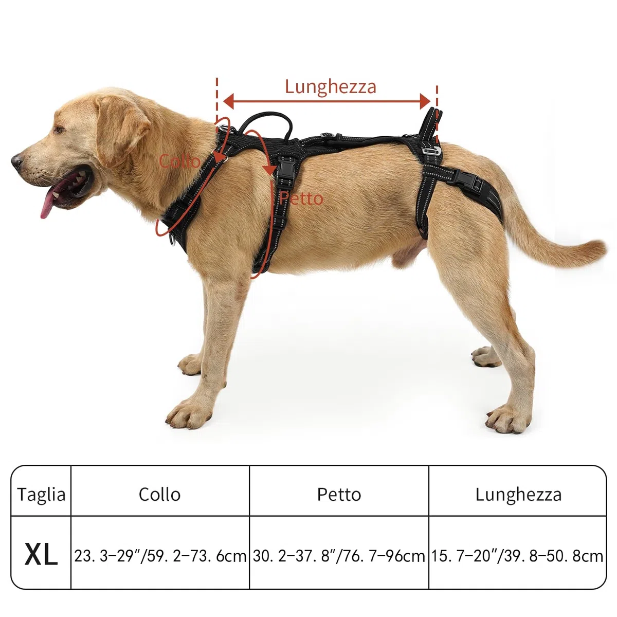 COODEO Imbracatura per Cani, Supporto e Fodera per Passeggio, Gilet di Riabilitazione per Zampe Posteriori, Trasportino per Cani Anziani con Infortuni e Artrite, Aiuto per Salire le Scale. (Nero, XL)