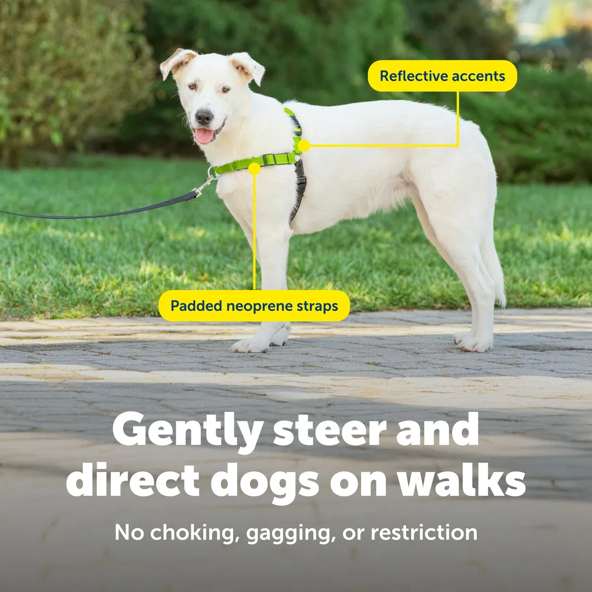 PetSafe Pettorina deluxe per cani Easy Walk, con anello a D per fermare la trazione, per allenamento e comportamento, riflettività, migliora la visibilità in condizioni di scarsa illuminazione, comoda