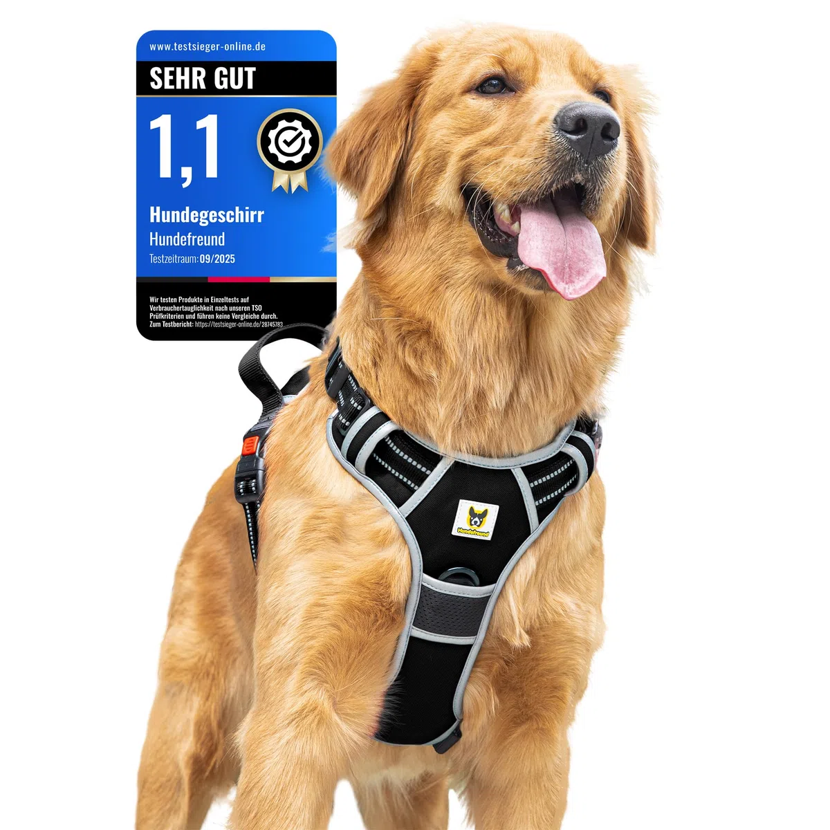 Hundefreund Pettorina per cani di grossa taglia – Riflettente, Imbottita e Regolabile – Imbracatura anti-treno con manico & 3 chiusure di sicurezza – Camminare e guidare auto – (L, nero)
