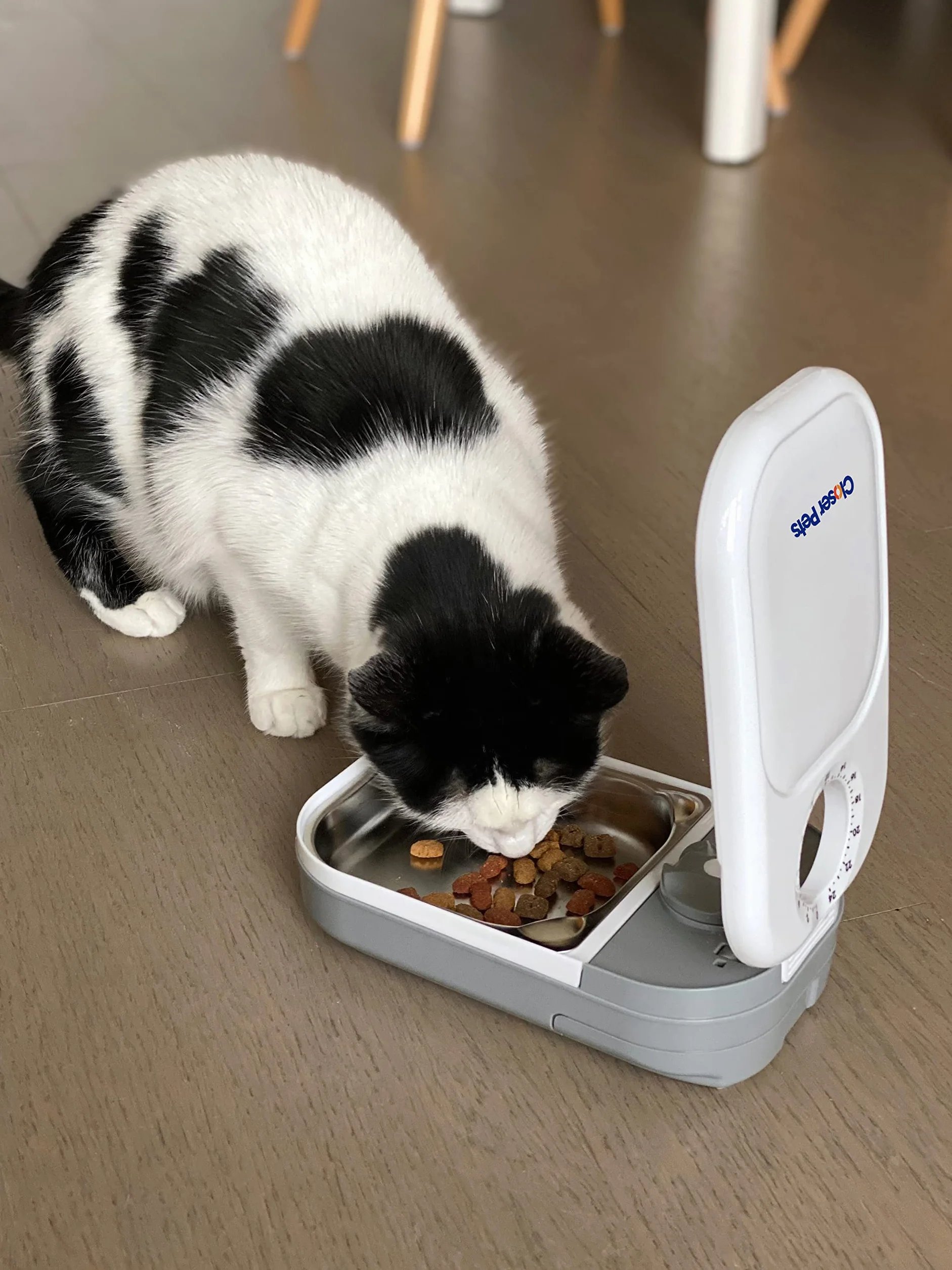 Closer Pets C100 un alimentatore automatico dell'animale domestico del pasto per i gatti ed i piccoli cani con l'inserzione della ciotola dell'acciaio inossidabile