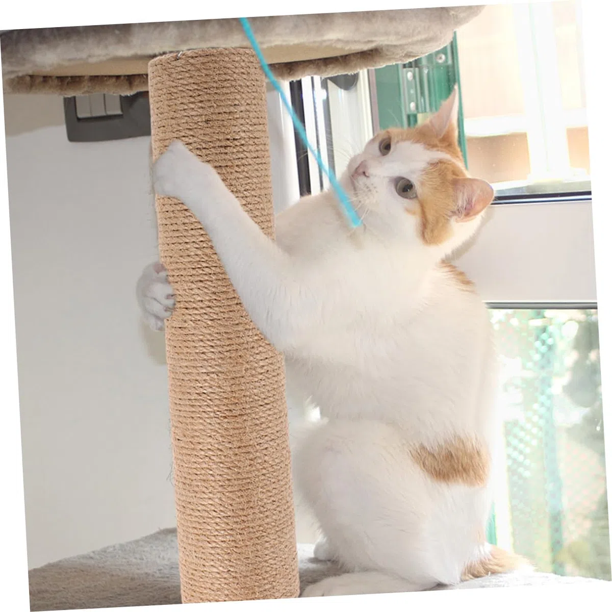 Abaodam Ricambi Tiragraffi per Gatti 2pezzi Corda di Juta, Tiragraffi Gatto Verticale Robusto e Facile da Sostituire, per Appartamenti e Piccoli Spazi