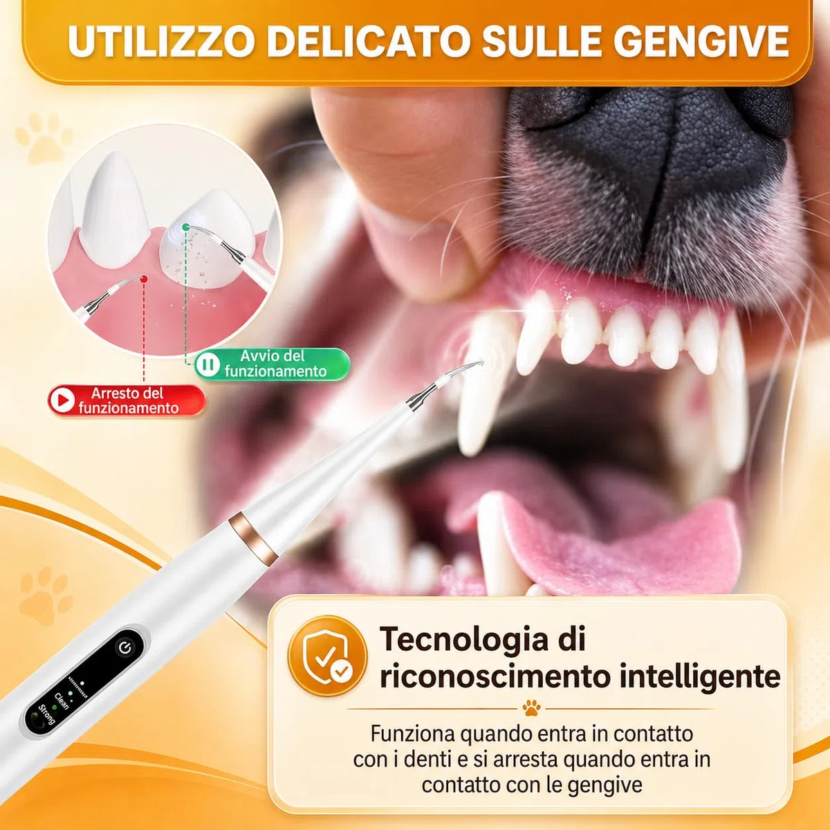 ZampaDent Dispositivo Professionale per la Pulizia Dentale del Cane Pulizia Denti Cane Rimuovi Tartaro Denti con Design Leggero per Uso Domestico e Viaggio (nero)