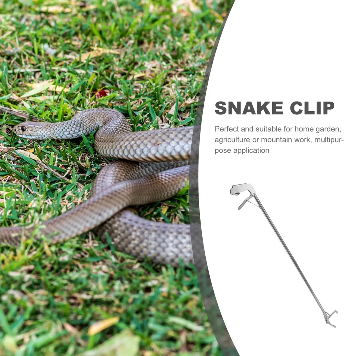 Happyyami Pinze per Serpenti Raccoglitore di Serpenti Extra Lungo Professionale per Serpenti A Sonagli per Rettili Pesanti Impugnatura Antiscivolo