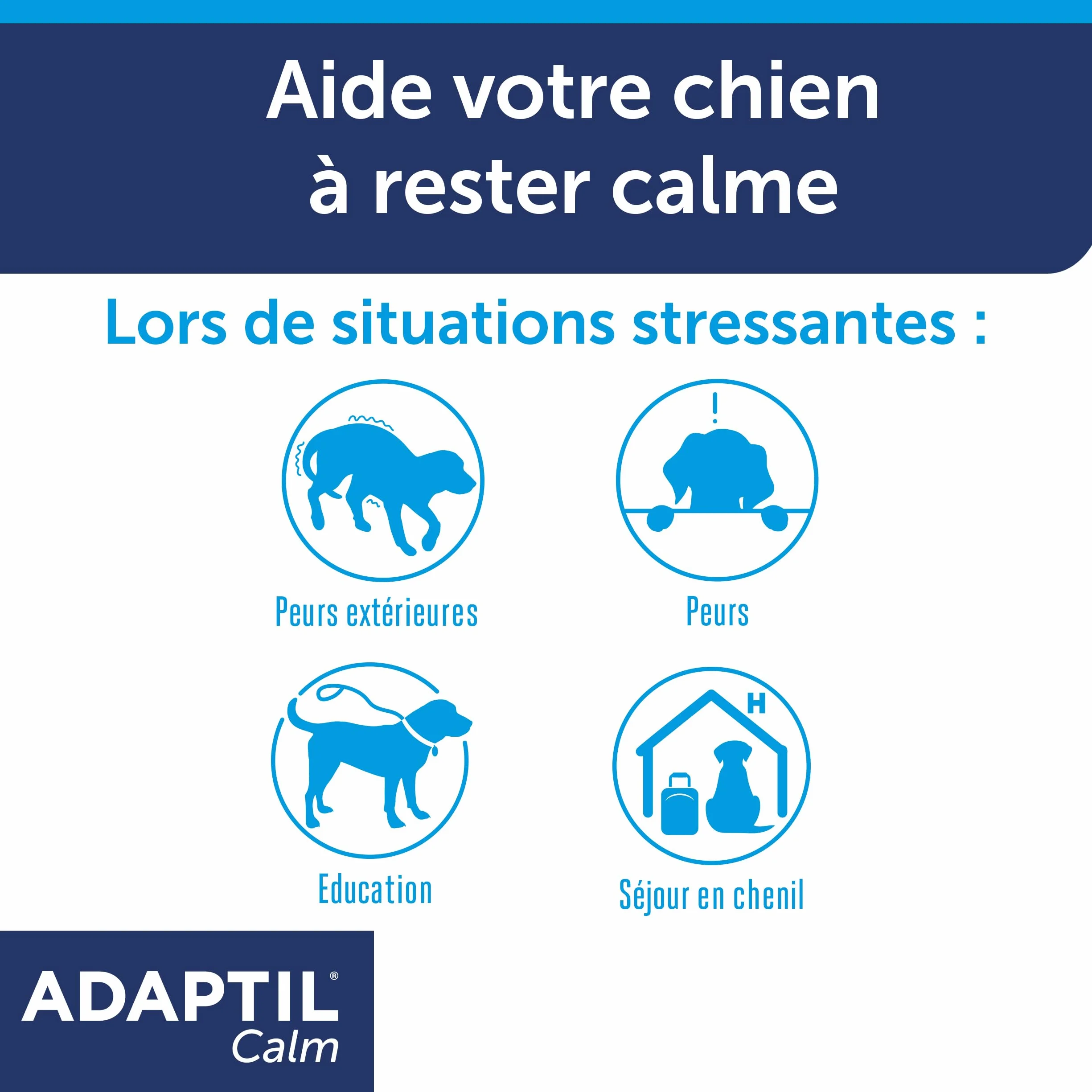 ADAPTIL Calm - Collare Antistress per Cani di Taglia Medio-Grande, Circonferenza Collo Fino a 62,5 cm