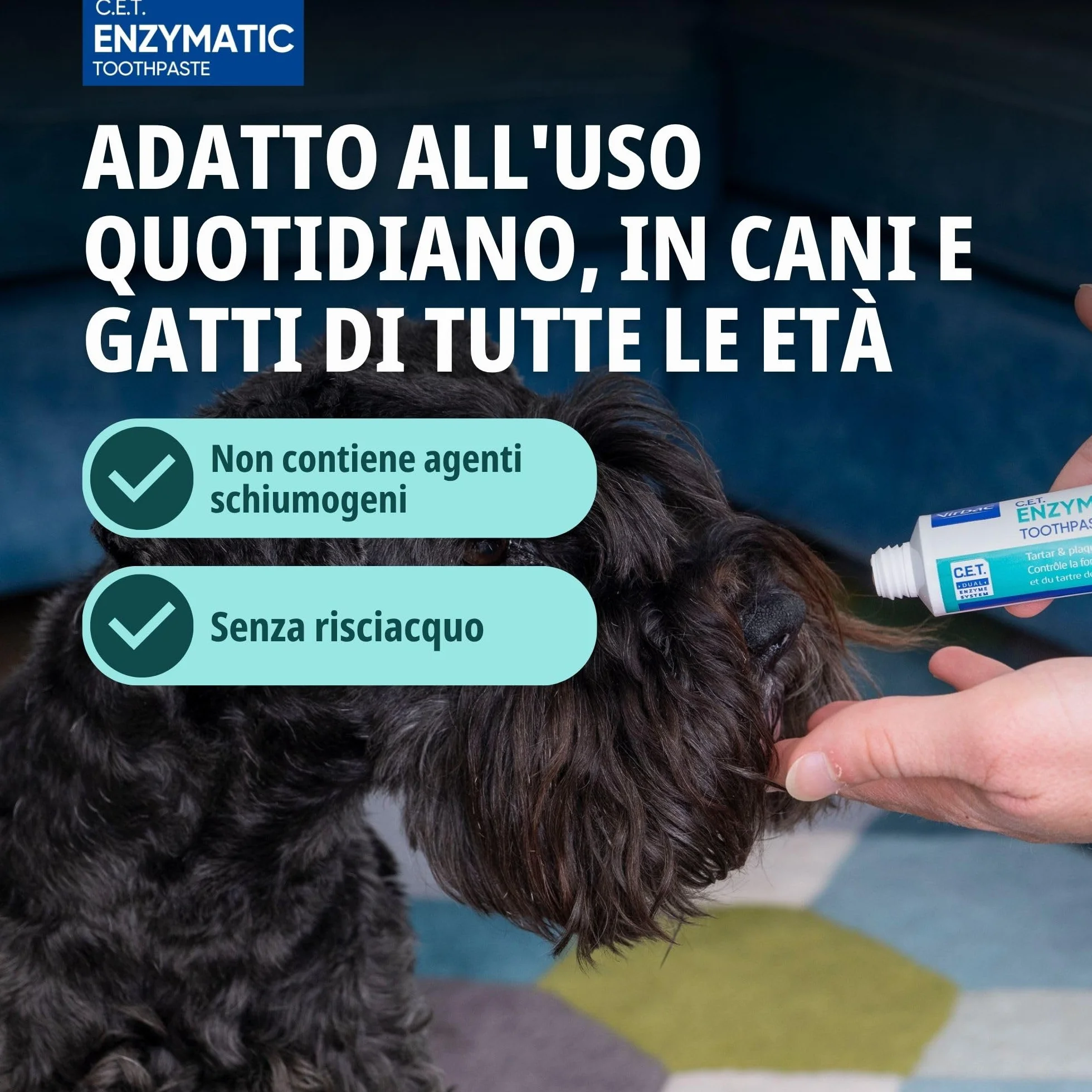 Virbac C.E.T. Dentifricio enzimatico per animali | Confezione Doppia | 2 x 70 g | Dentifricio aromatizzato al pollame per cani e gatti | Da utilizzare con uno spazzolino adatto agli animali