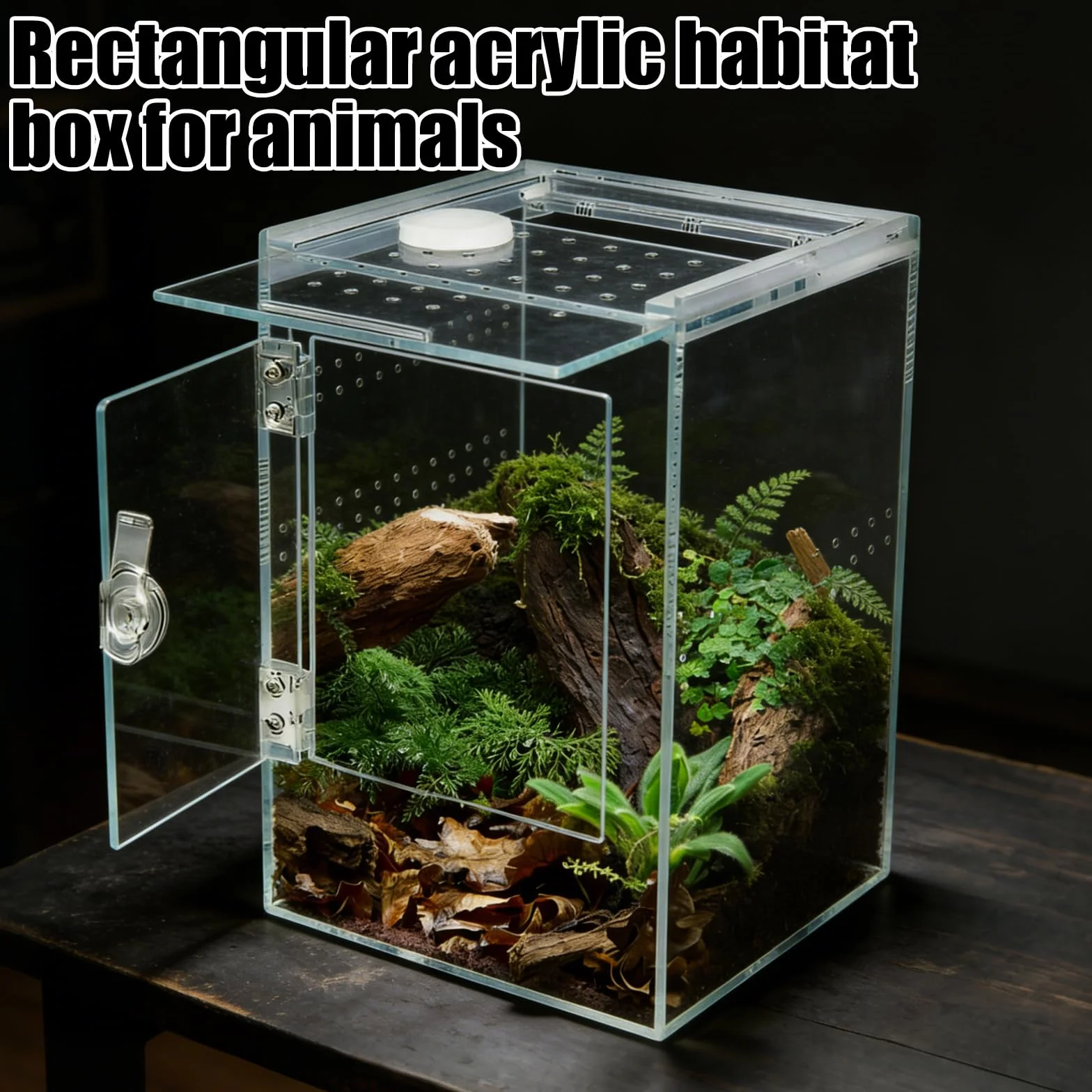 Recinzione per ragni per saltare, 15 x 15 x 23 cm, in acrilico, terrario, rettangolo a 360°, in vetro rettangolare con porta laterale, per serpente, rana, insetto, tarantola, granchio eremita