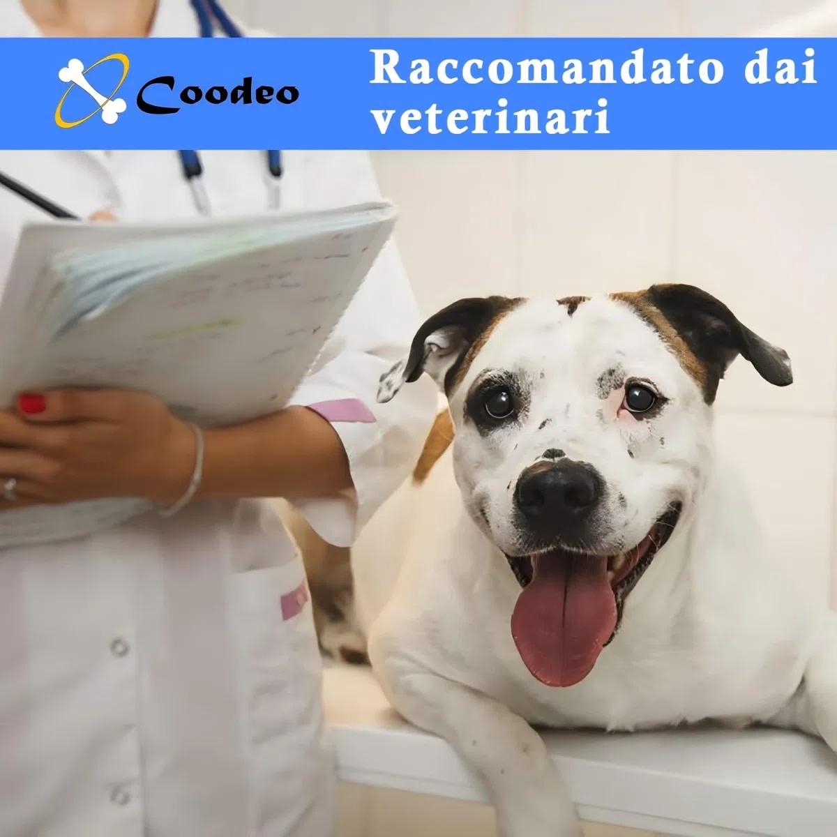 Coodeo Imbracatura per Cani, Sling di Supporto e Riabilitazione Regolabile con Cinghie Padded e Traspiranti per Cani Anziani, Disabili e con Infortuni Articolari. (Nero, XL)