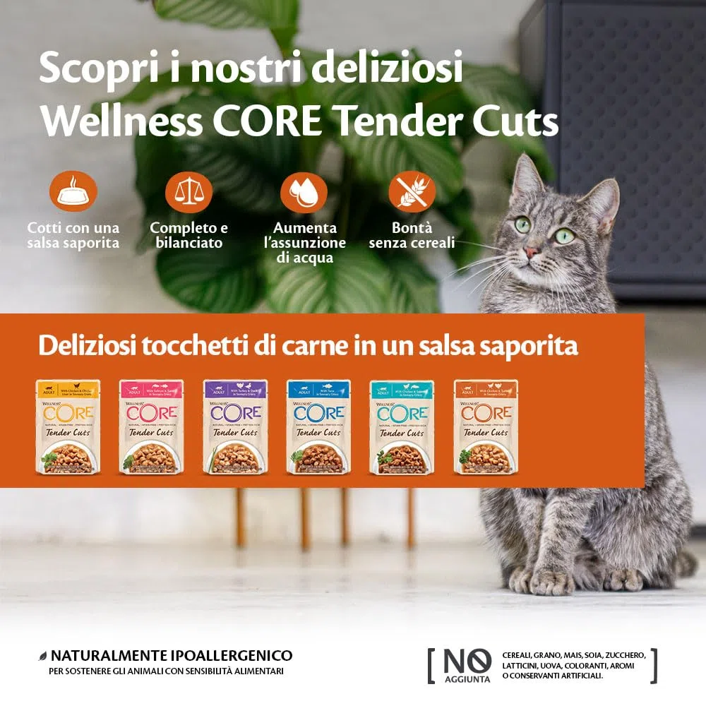 Wellness CORE Tender Cuts 24 x 85g, Tacchino/Anatra – Morbidi Pezzi per Gatti Adulti, Senza cereali, Naturale, Ipoallergenico, Ricco di Proteine, Alto Contenuto di Carne,
