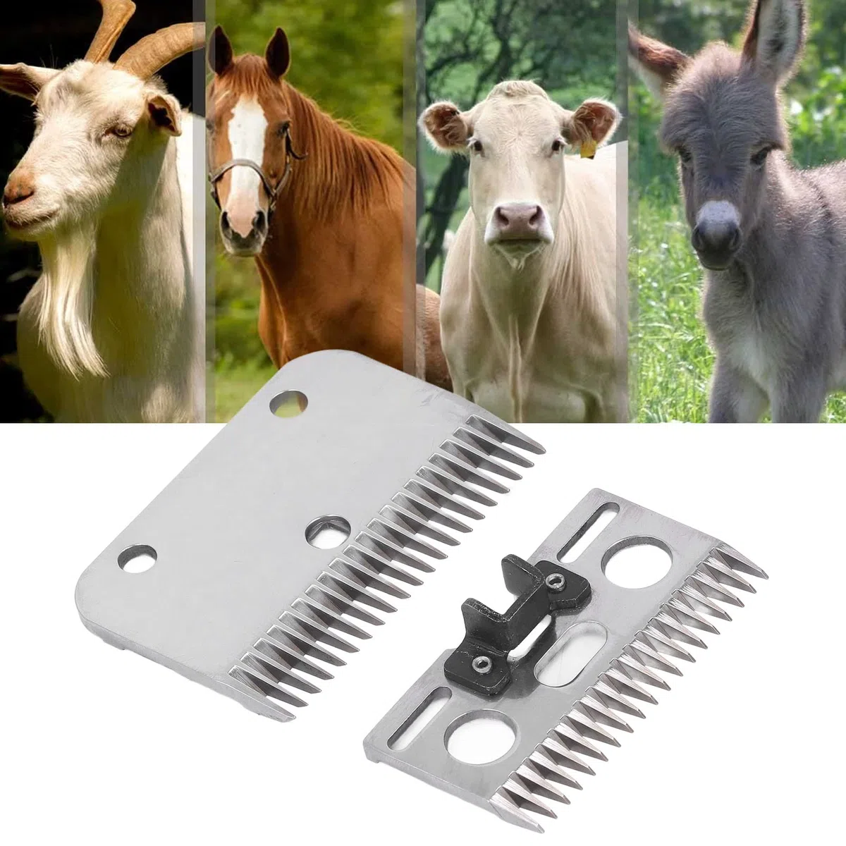 Artillery Lame di Ricambio per Tosatrice per Cavalli, Lame Universali a 21 Denti Lame di Ricambio in Carburo per Tosatrice per Cavalli, Capre, Agnelli e Bovini