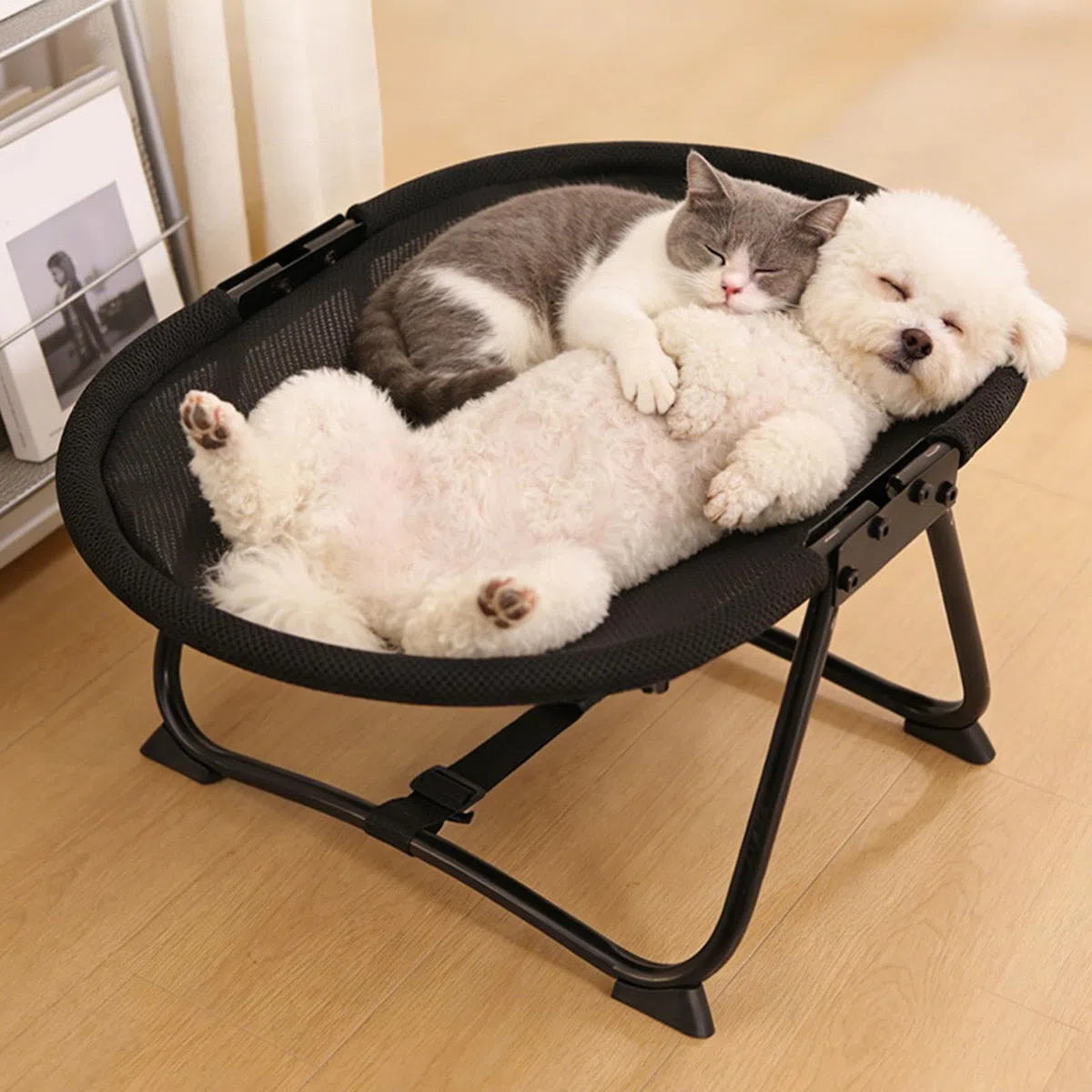 Cuccia Brandina Per Cani | Brandina Portatile Pieghievole Lavabile Antiscivolo,Pieghevole 57 x 41 x 26 cm Cuccia per Cani Sollevata | Animali Domestici Gatti Cuccioli Sonno Riposo Esterno Campeggio