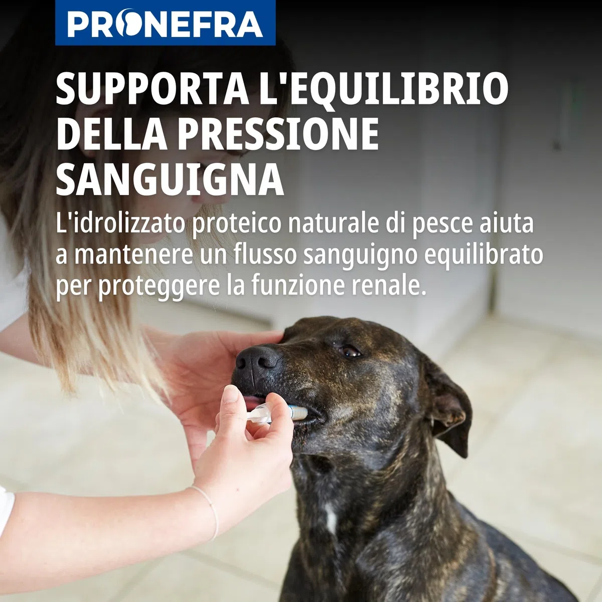 Pronefra per cani e gatti (taglia 60ml)